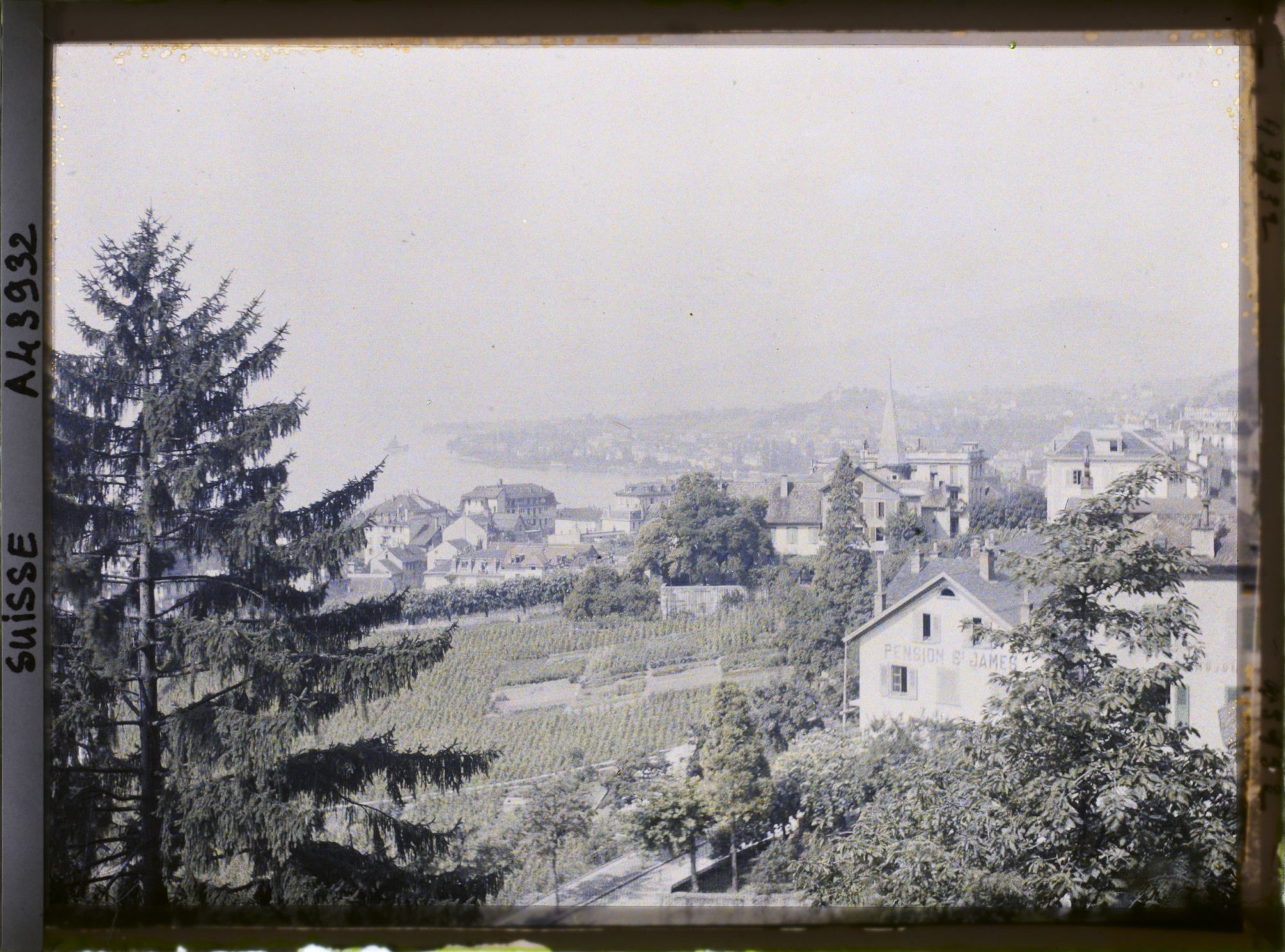 Image représentant Panorama sur Montreux et le Léman