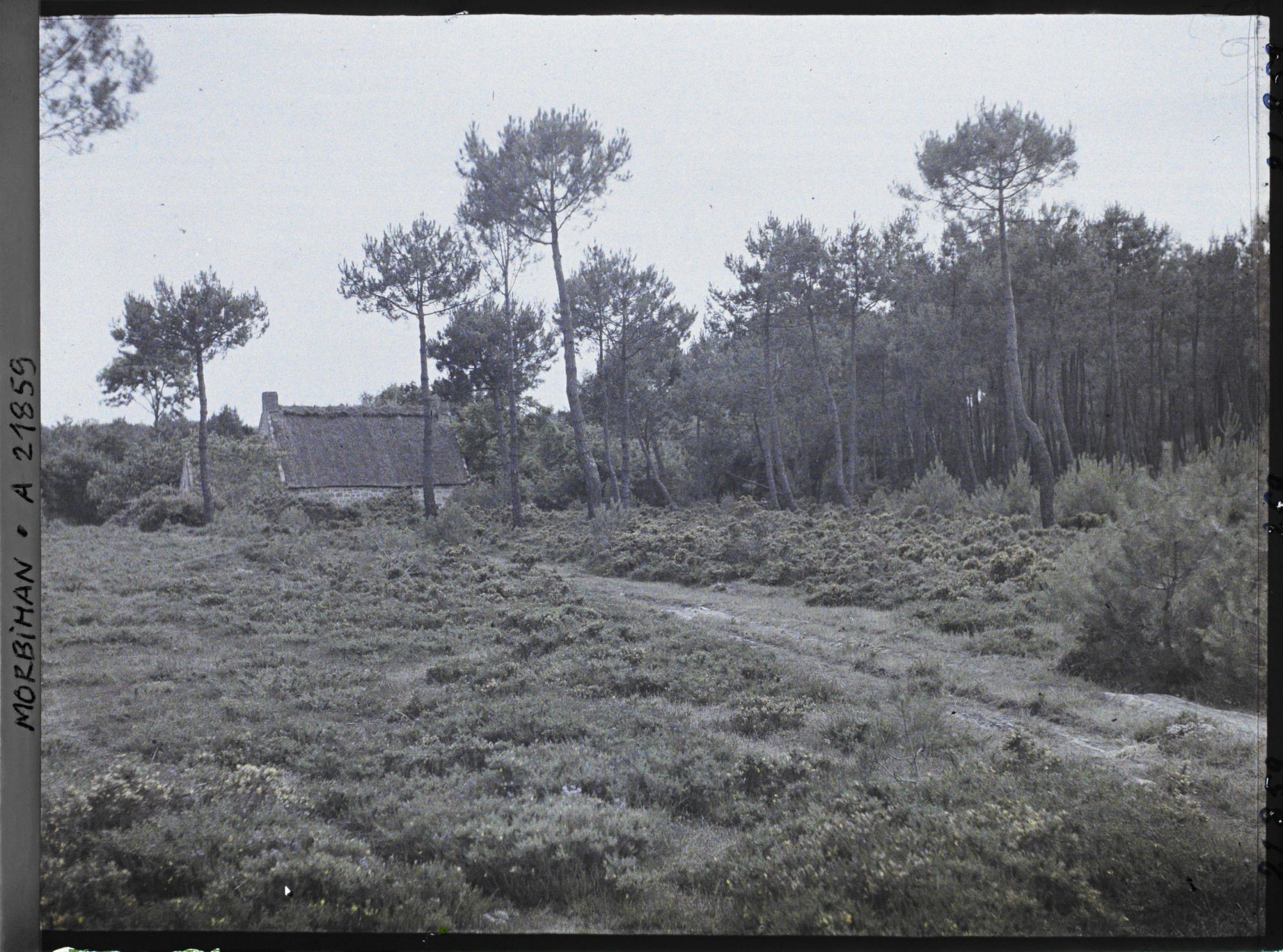 Image représentant Une maison dans la lande à Kerlescan
