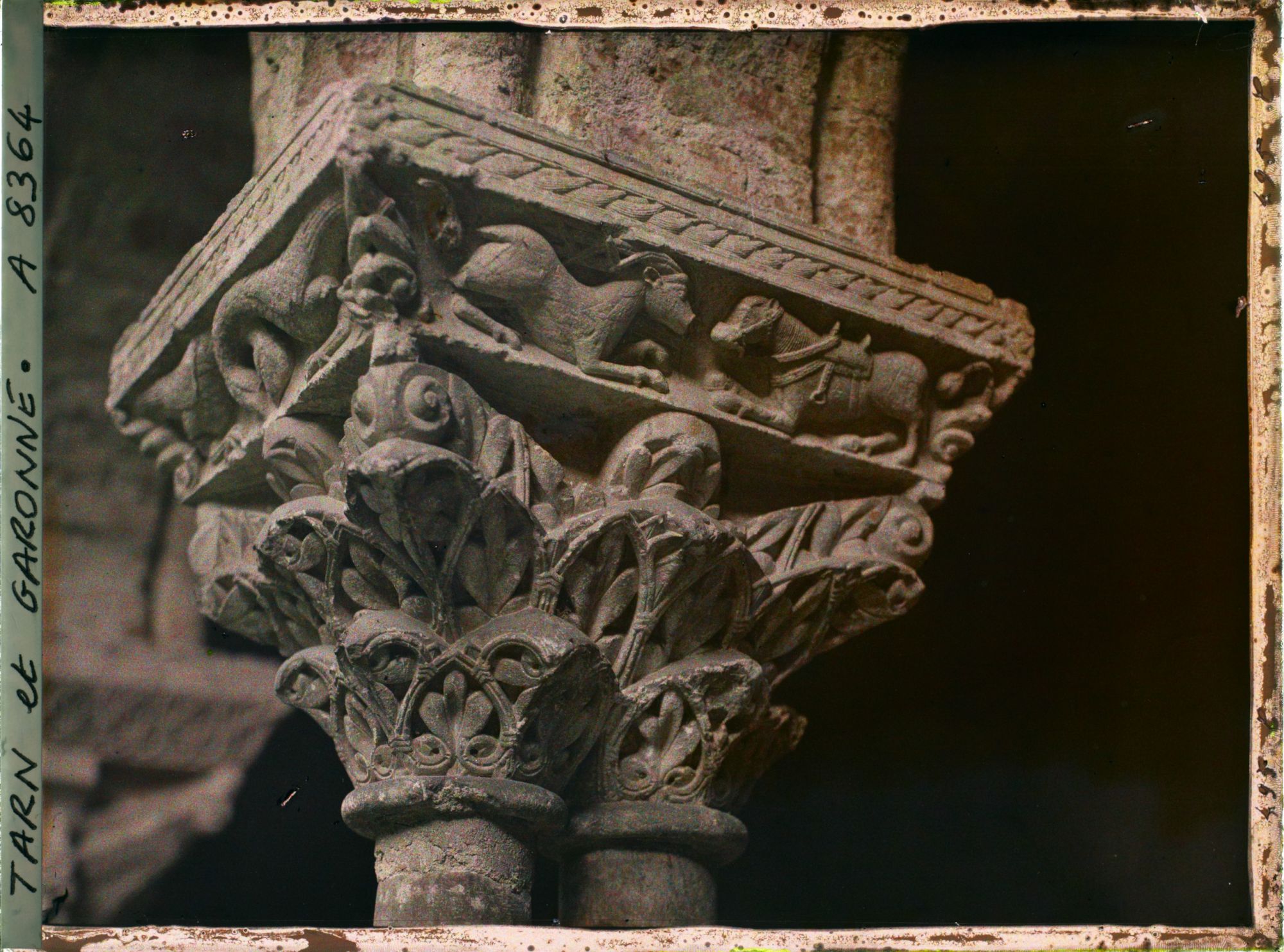 Image représentant Détail d'un chapiteau du cloître de l'abbaye Saint-Pierre
