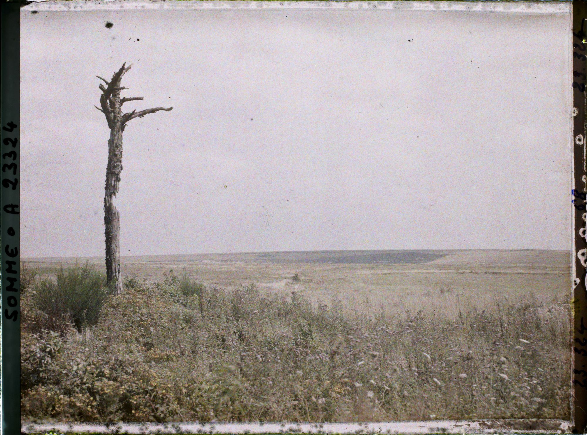 Image représentant France, Maurepas, Le bois d'Anderlu, vu du bois Douage