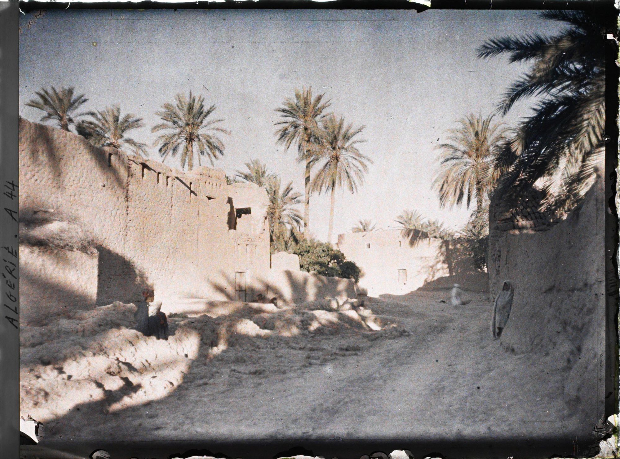 Image représentant Une route de terre dans l'oasis