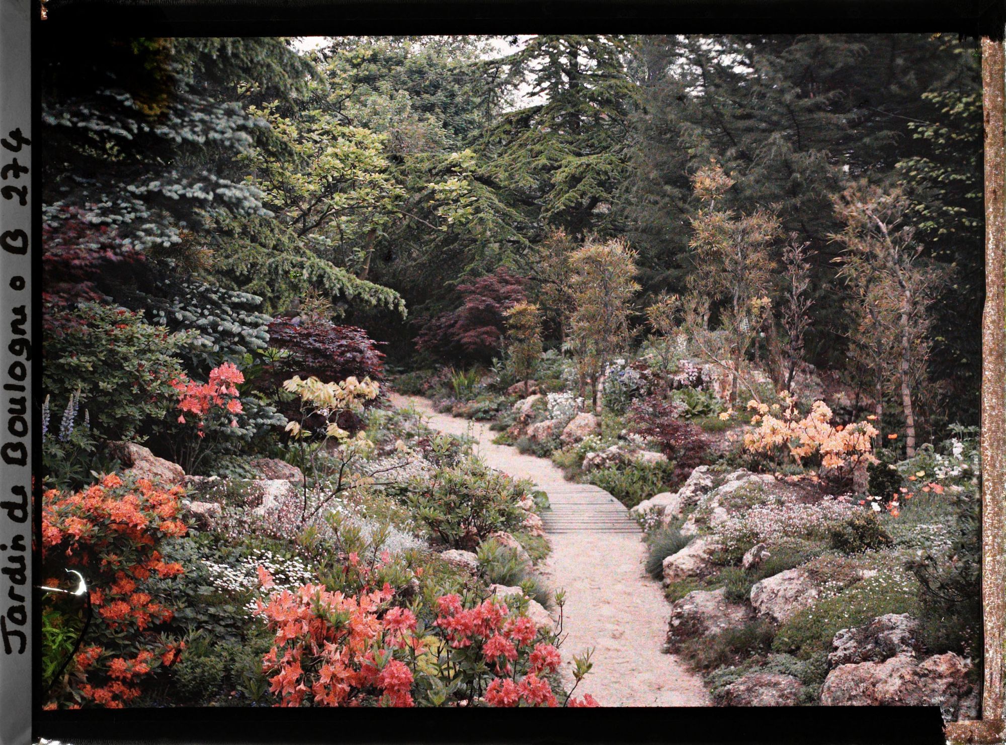 Image représentant Arbres, bambous et rocaille fleurie au bord d'un chemin du " sanctuaire japonais " menant au sôrintô