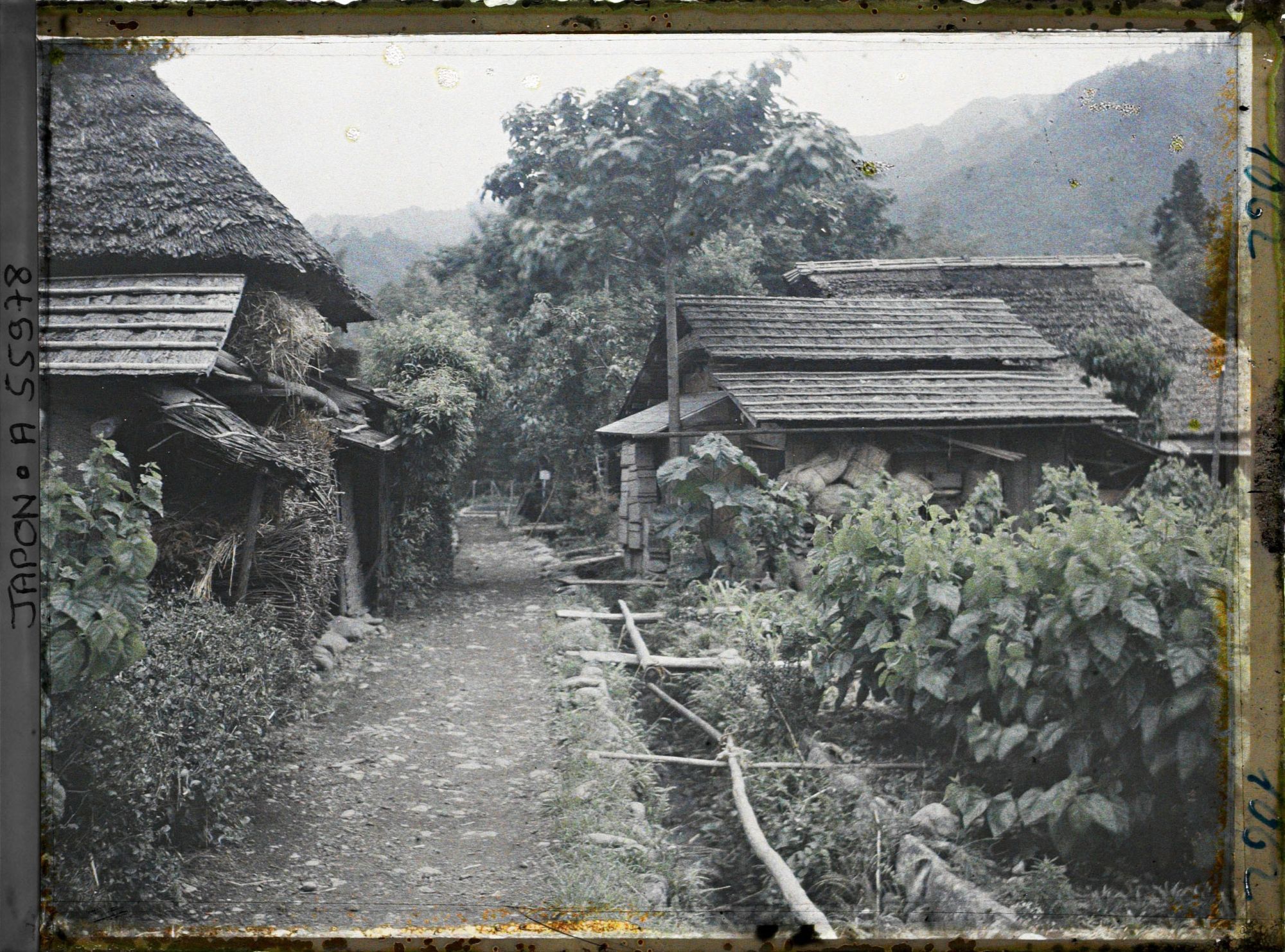 Image représentant Vallée de la Tamagawa (rivière Tama), chemin rural, mûriers et hangar abritant la paille de riz