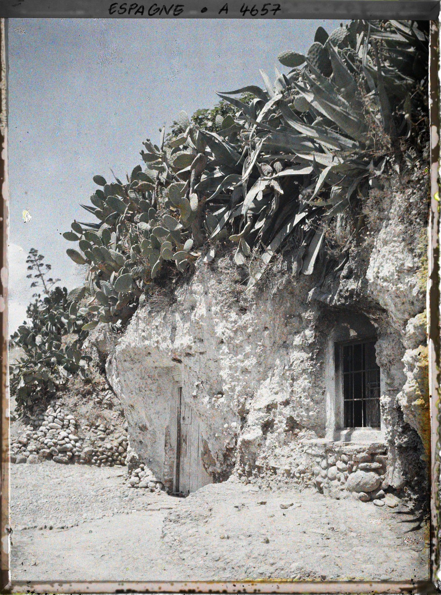 Image représentant Maison troglodyte, figuiers de Barbarie et aloès dans le quartier de Sacromonte