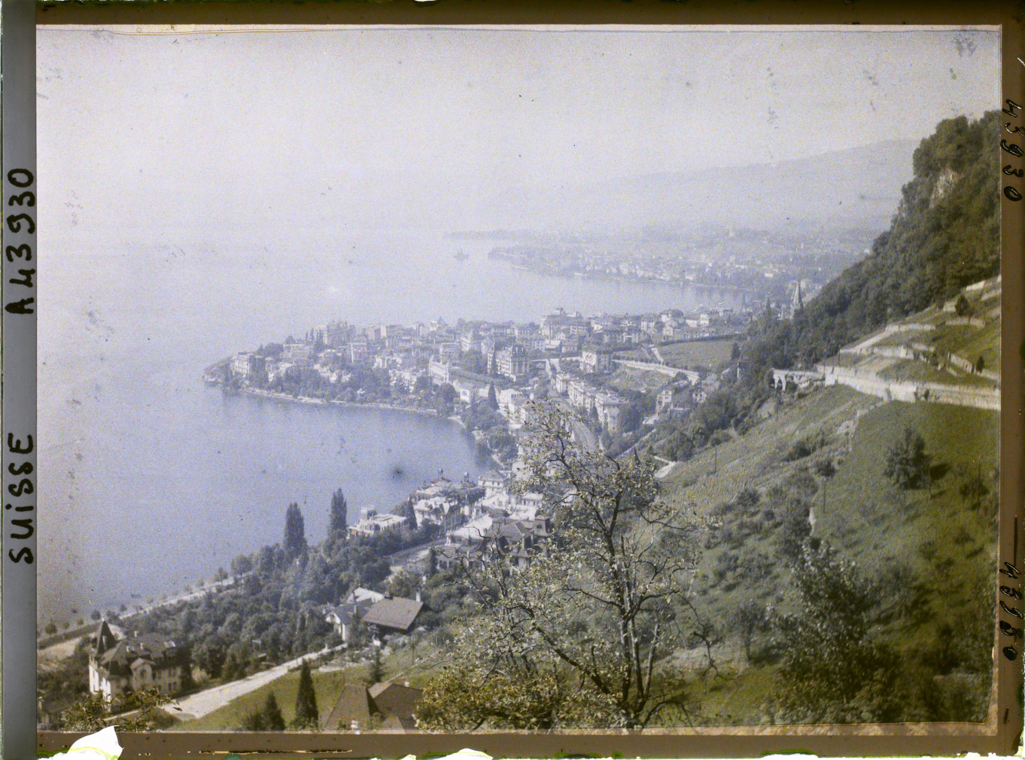 Image représentant Panorama sur Montreux et le Léman