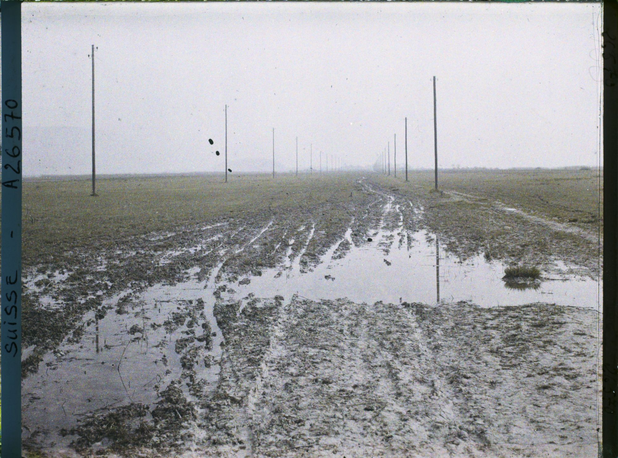 Image représentant La route de l'île Saint-Pierre, à 5 minutes de Cerlier