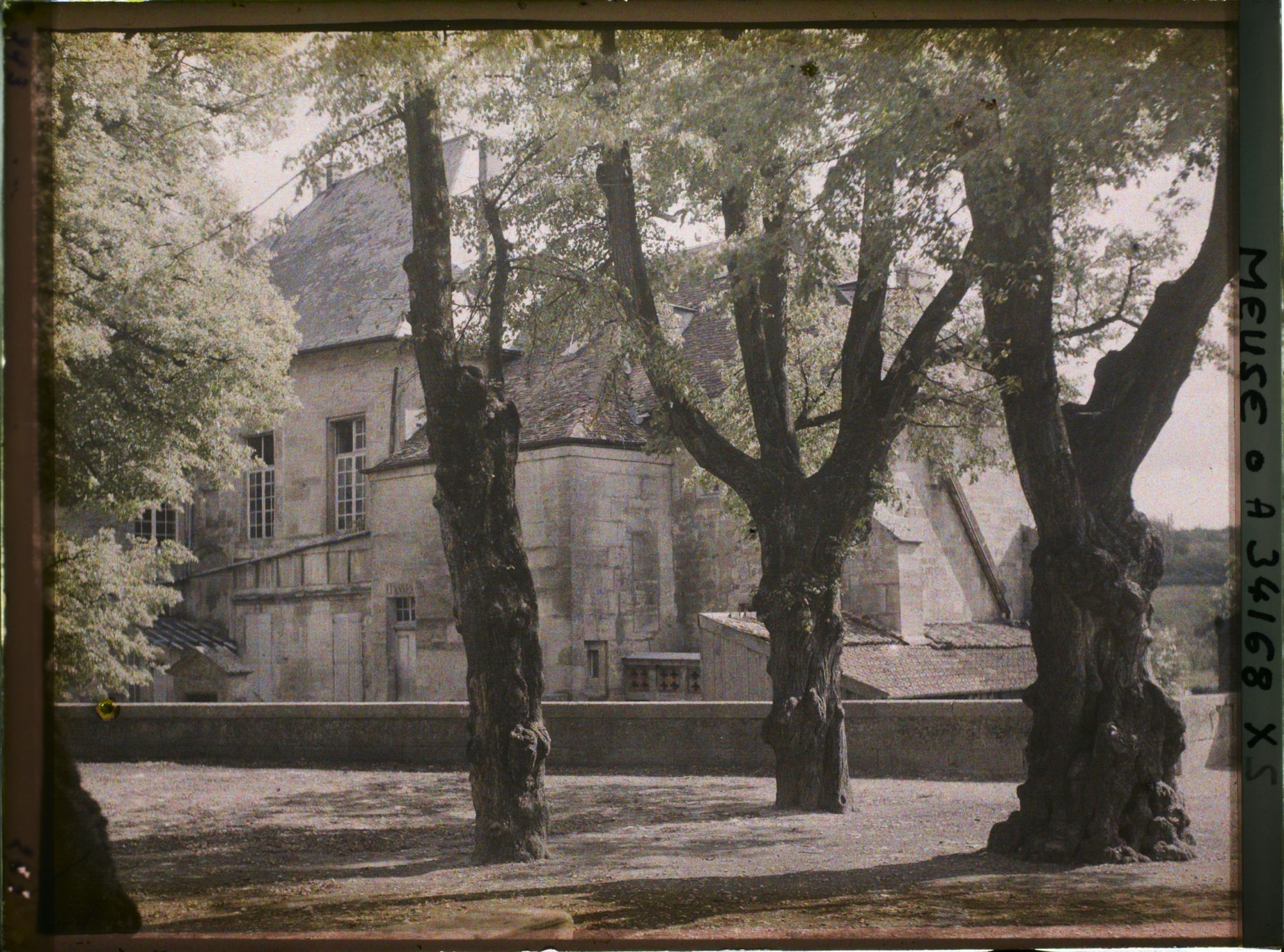 Image représentant France, Bar-le-Duc, Les tillleuls de la promenade de Paquis