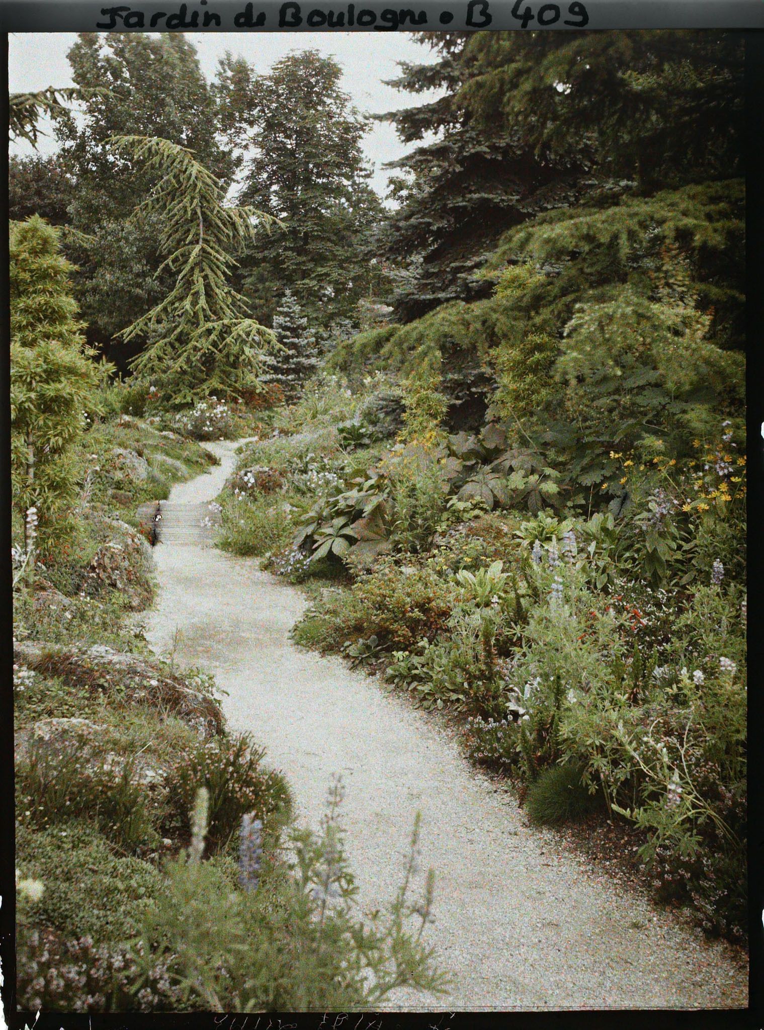 Image représentant Allée du " sanctuaire japonais " bordée d'une rocaille, menant du sôrintô au " village japonais "