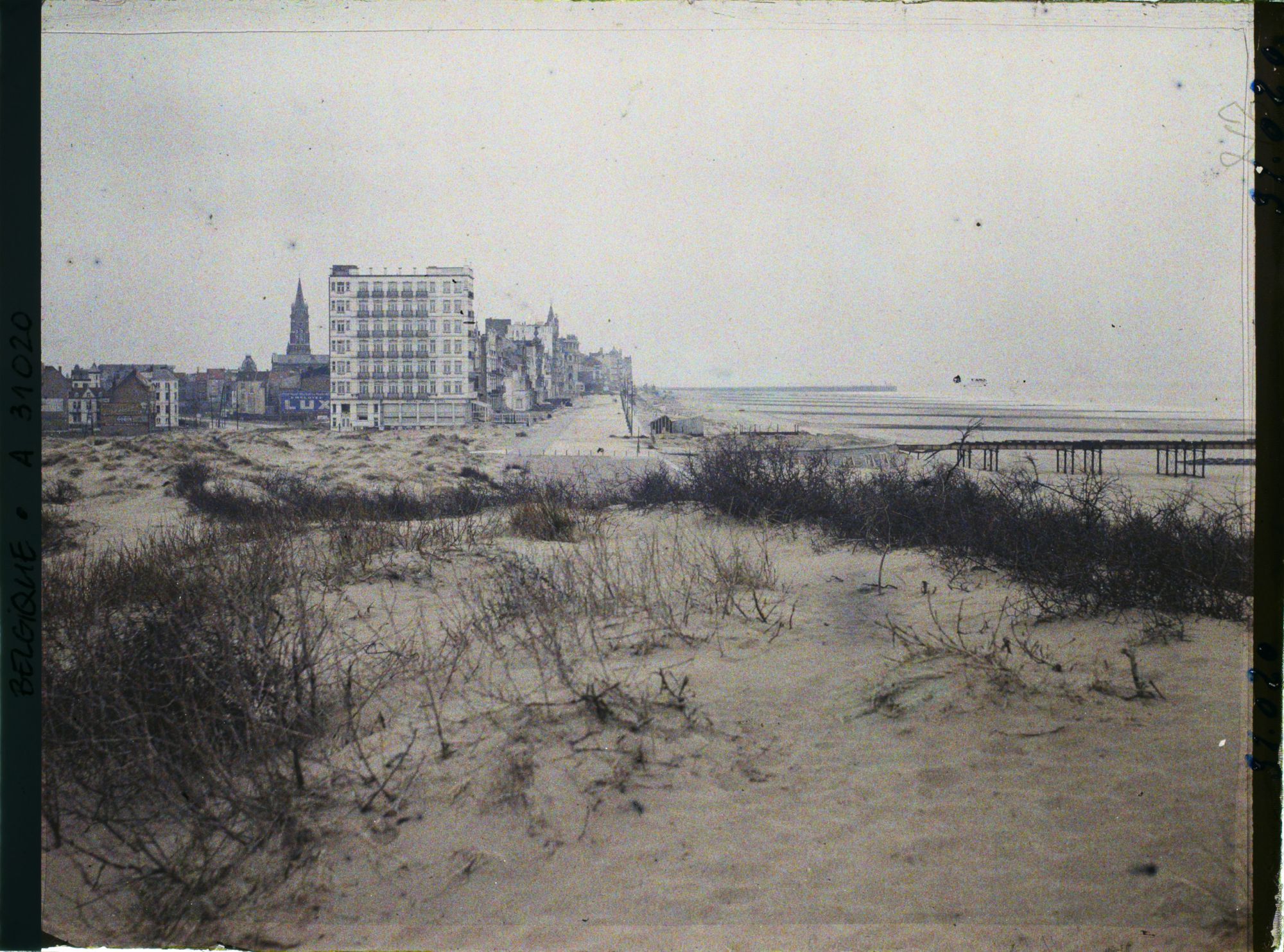 Image représentant Belgique, Blankenberghe, Blankenberghe vue des Dunes