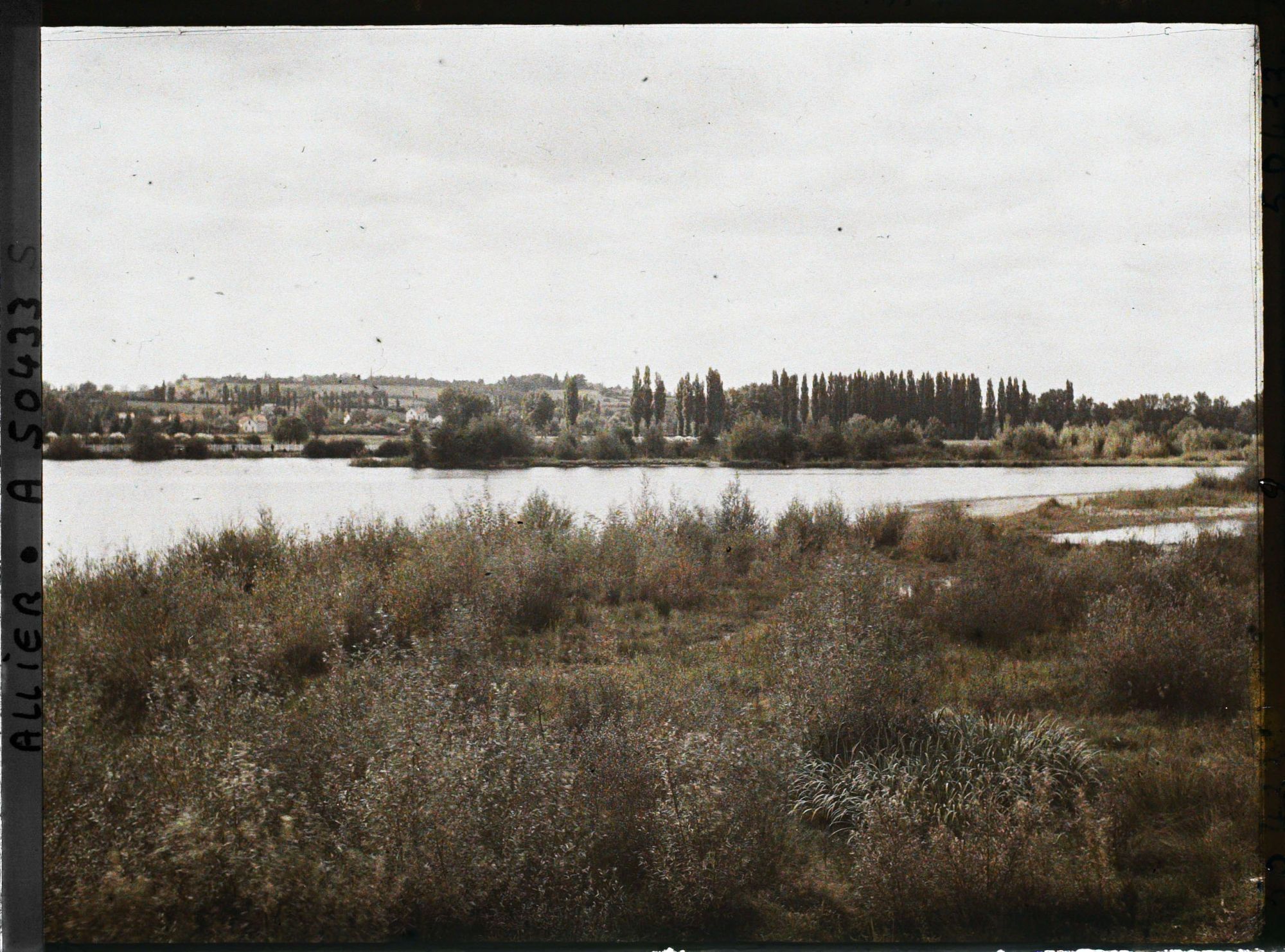 Image représentant Les bords de l'Allier vus vers l'aval