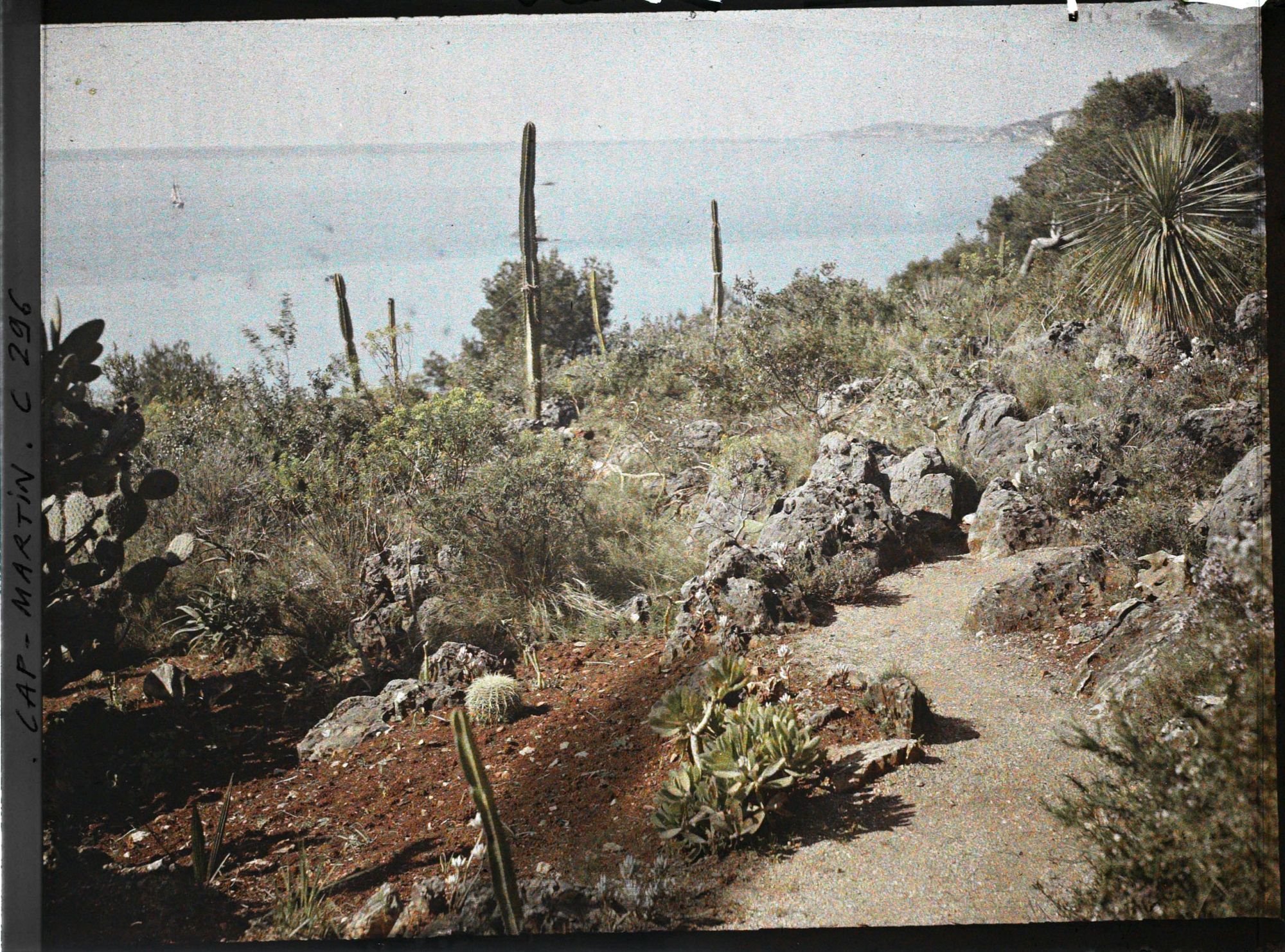 Image représentant Cap-Martin - Le Jardin
