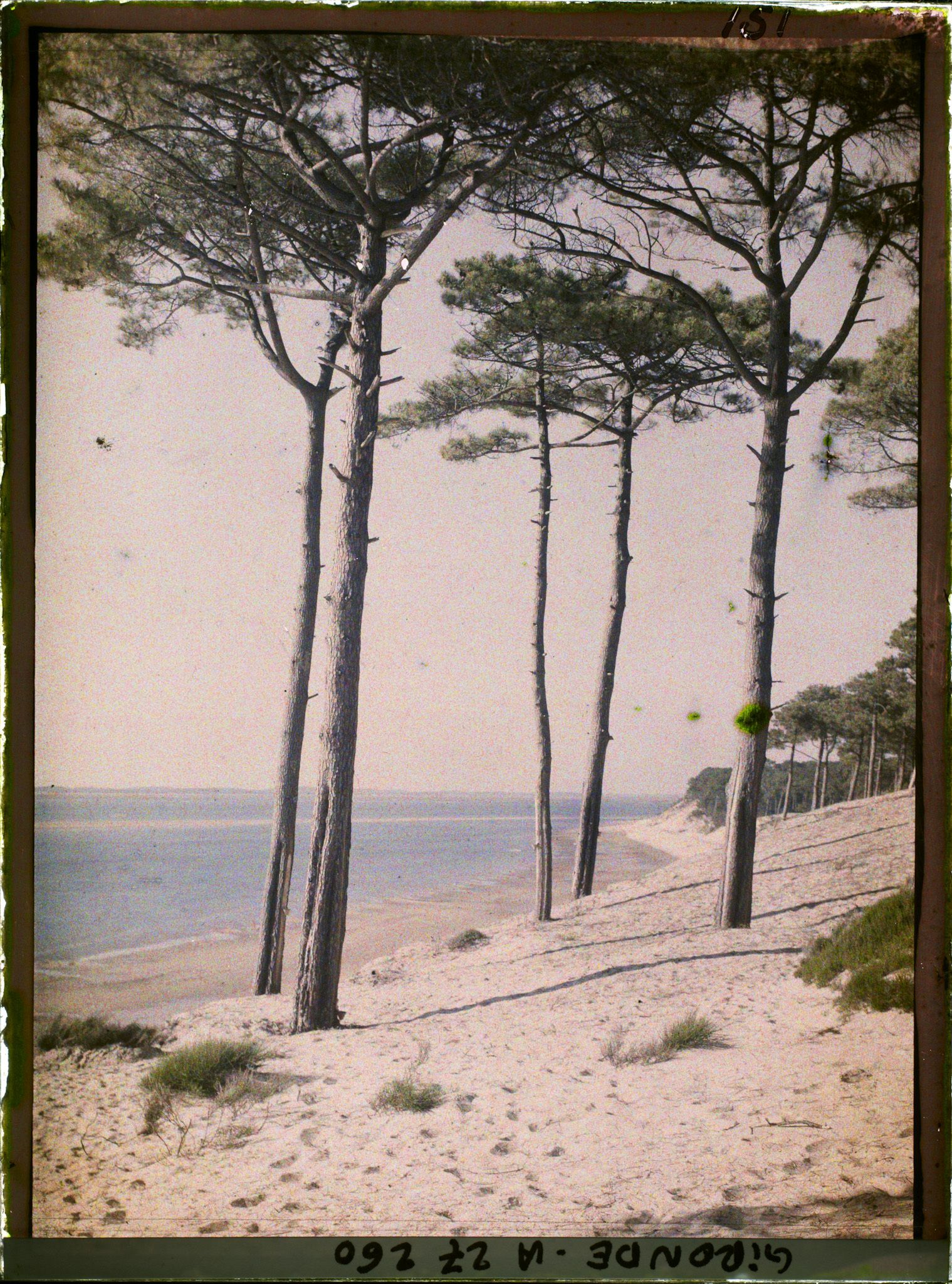 Image représentant France, Arcachon, Les bords du Bassin