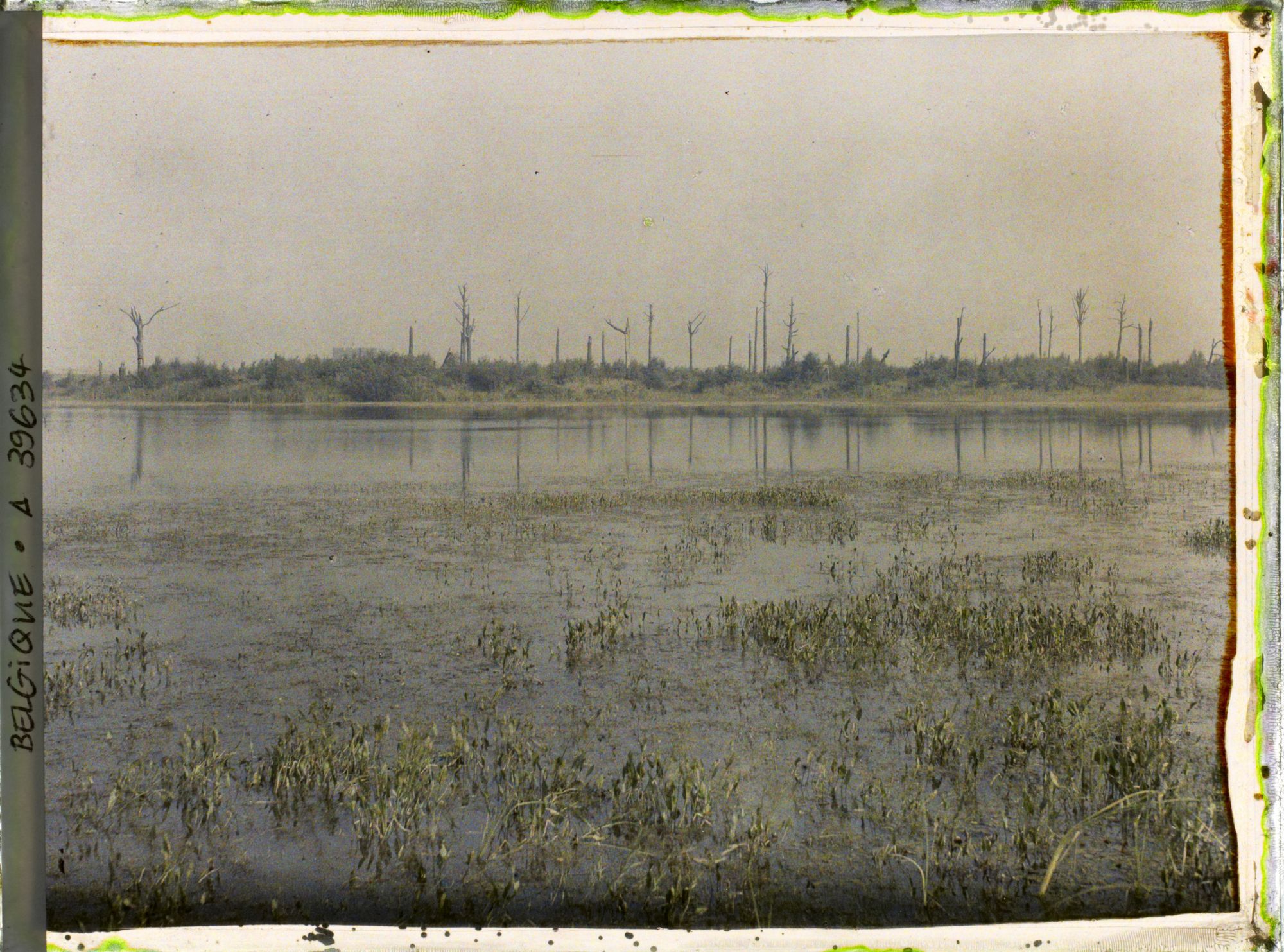 Image représentant Belgique, Hooghe, Etang de Bellewaarde