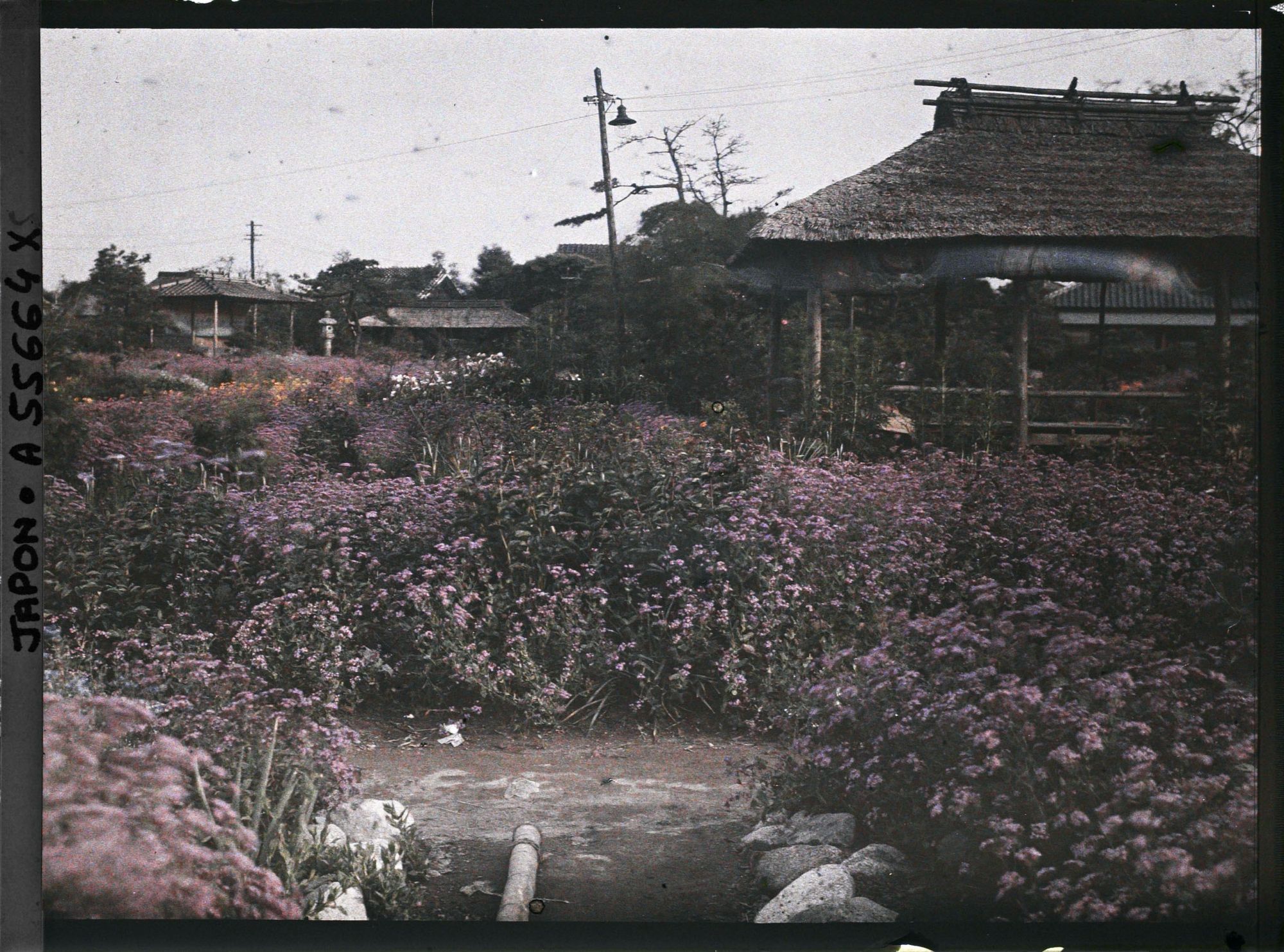 Image représentant Parc Horikiri-shobuen