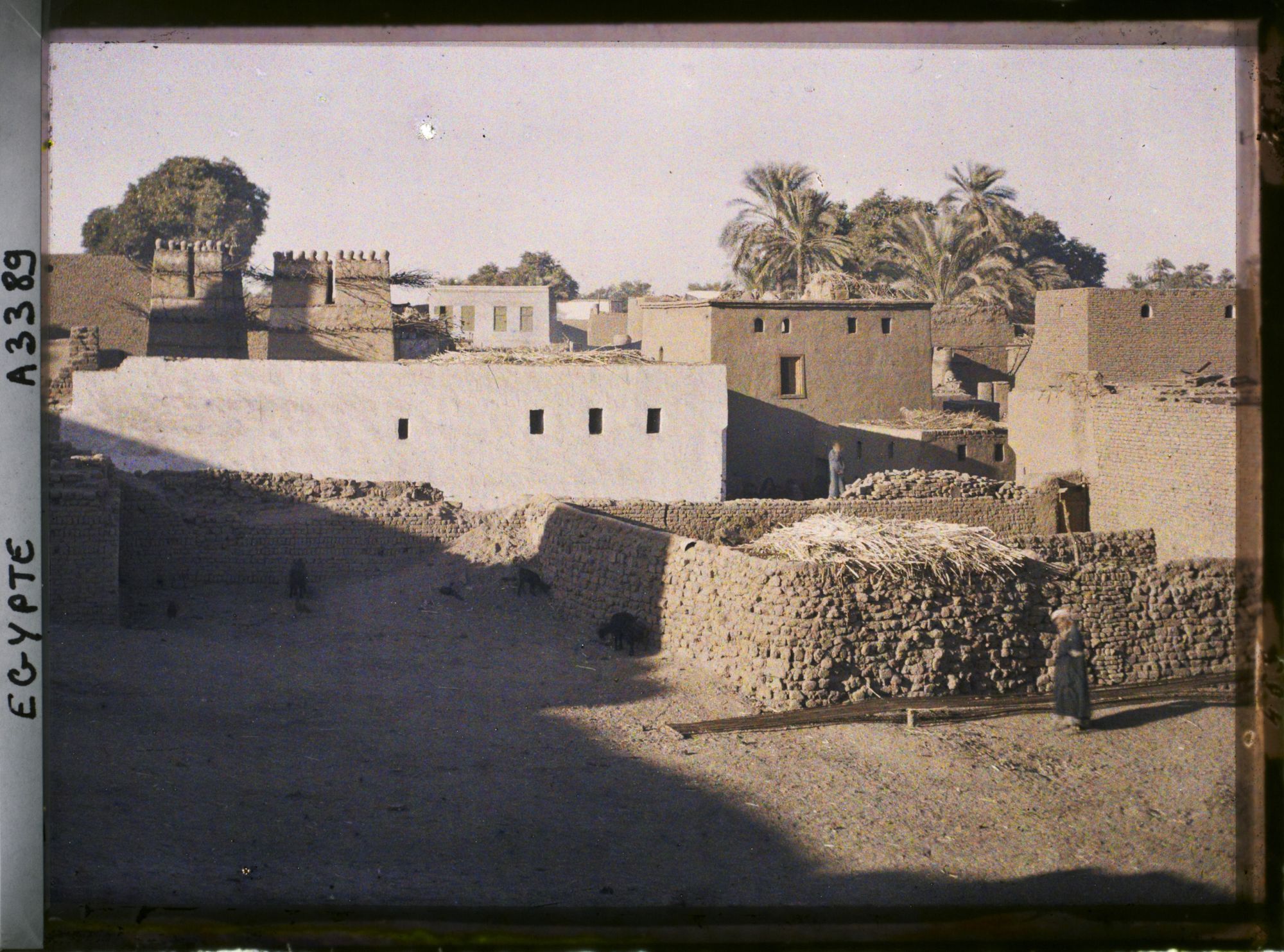 Image représentant Village d'Edfou près du temple dédié à Horus