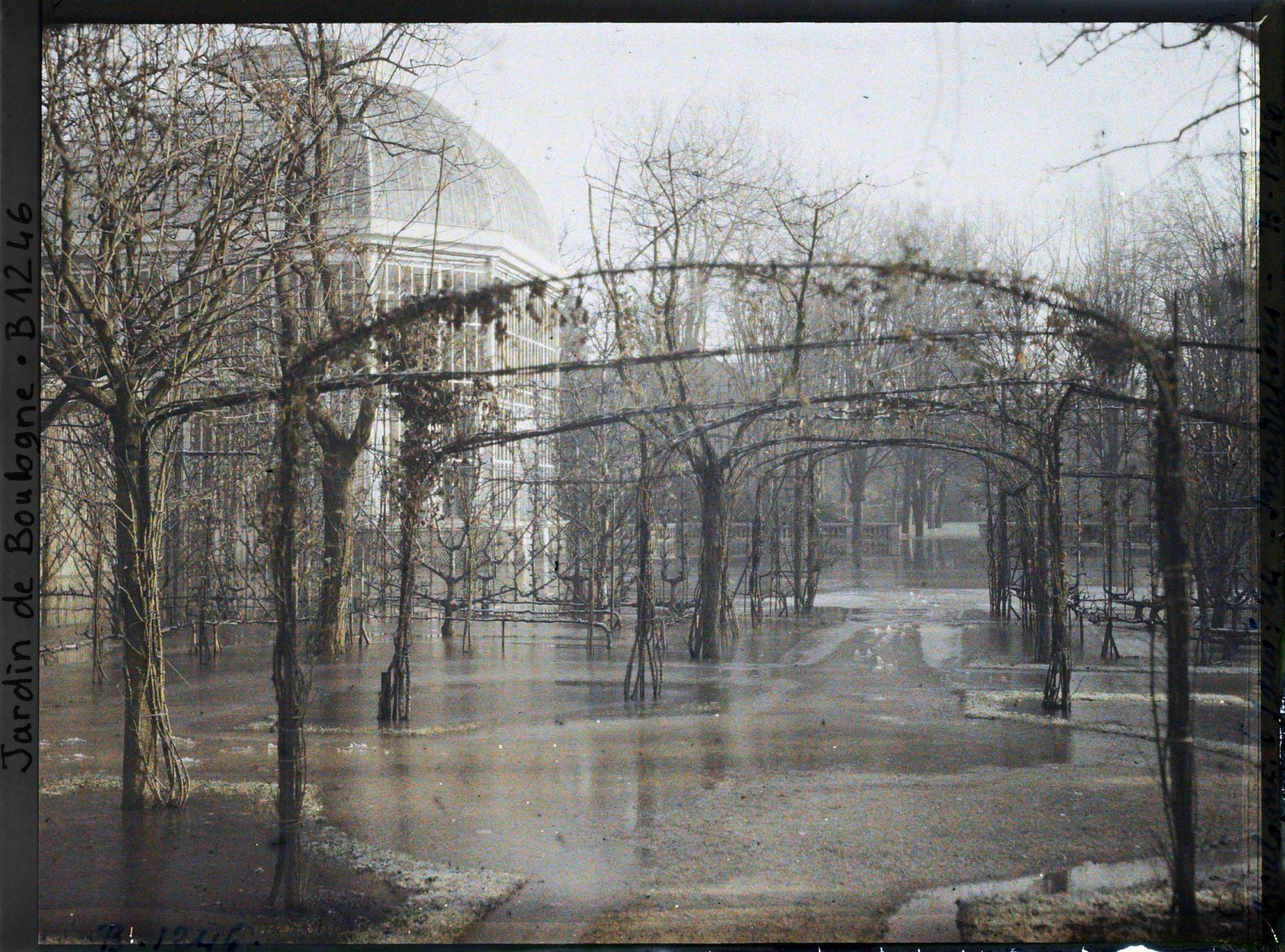 Image représentant Rond-point du verger-roseraie proche du jardin français, inondé, vu en direction du jardin anglais