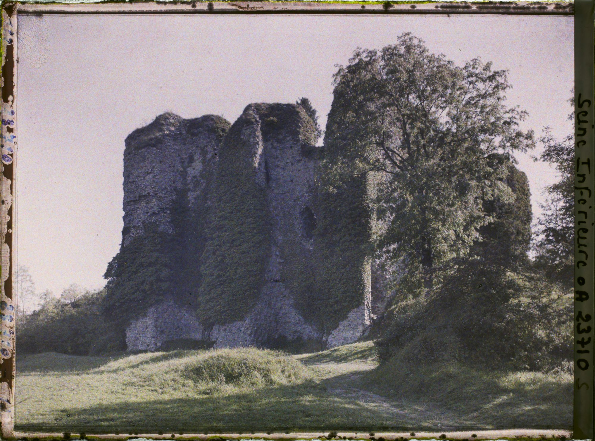 Image représentant Le donjon vu de la cour