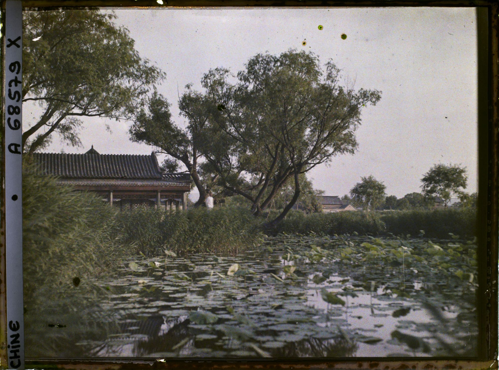 Image représentant Daminghu (" lac de la Grande Clarté ")