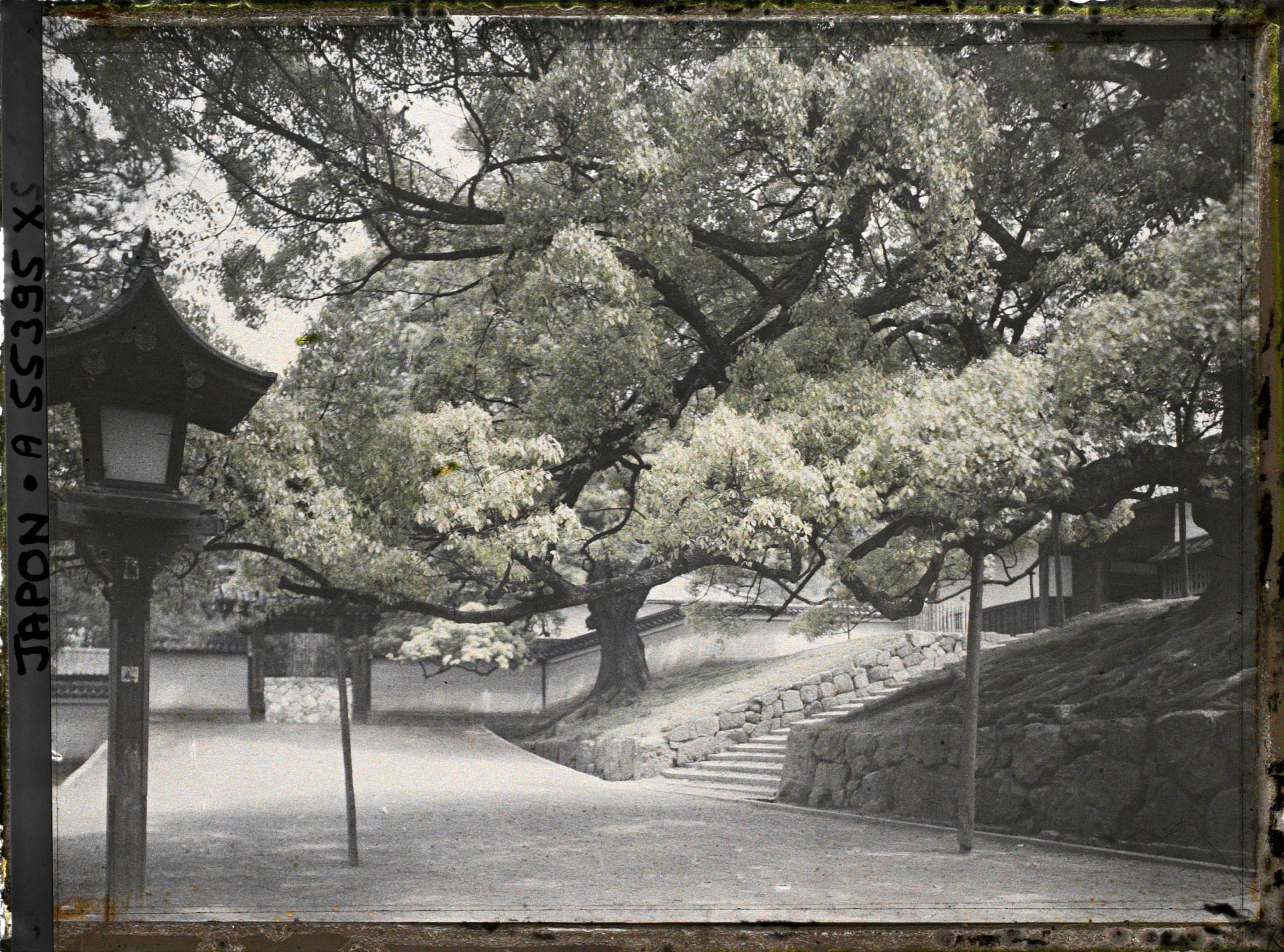 Image représentant Abords du Temple Shoren-in ou Awata