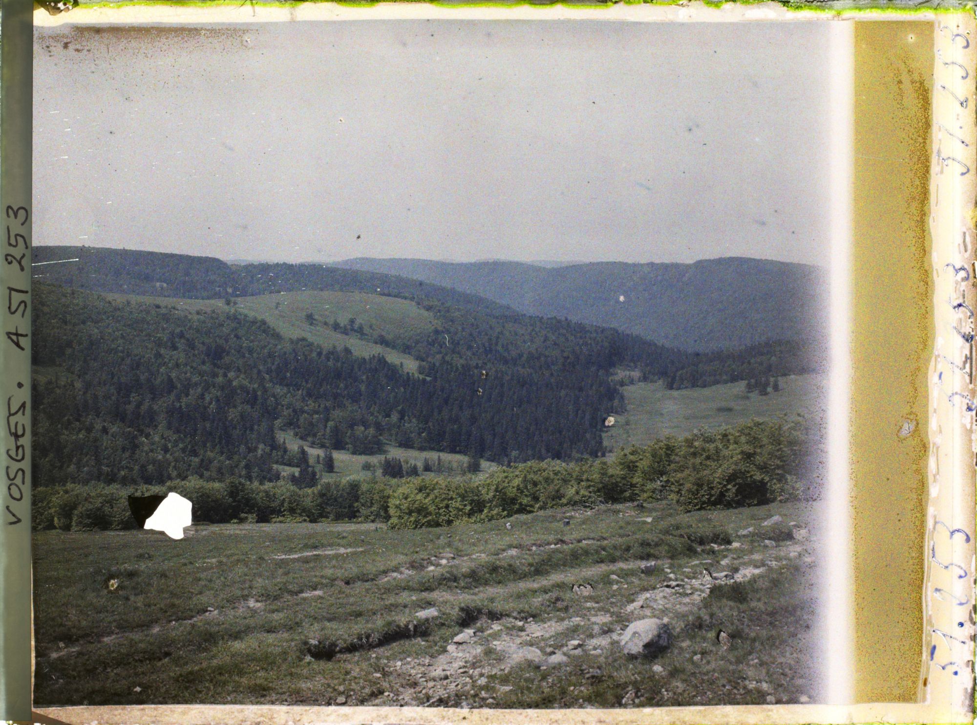 Image représentant Alsace, Houhneck, Les pâturages vus des pentes Sud-Ouest du Honhneck
