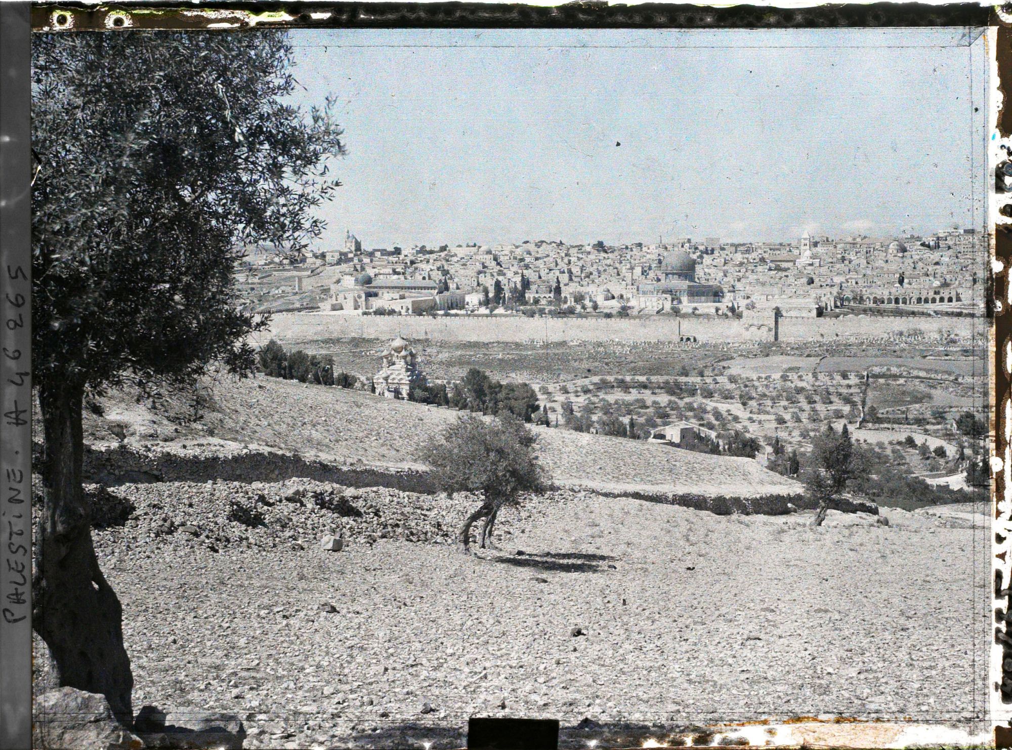 Image représentant Panorama de la ville vue du Mont des Oliviers