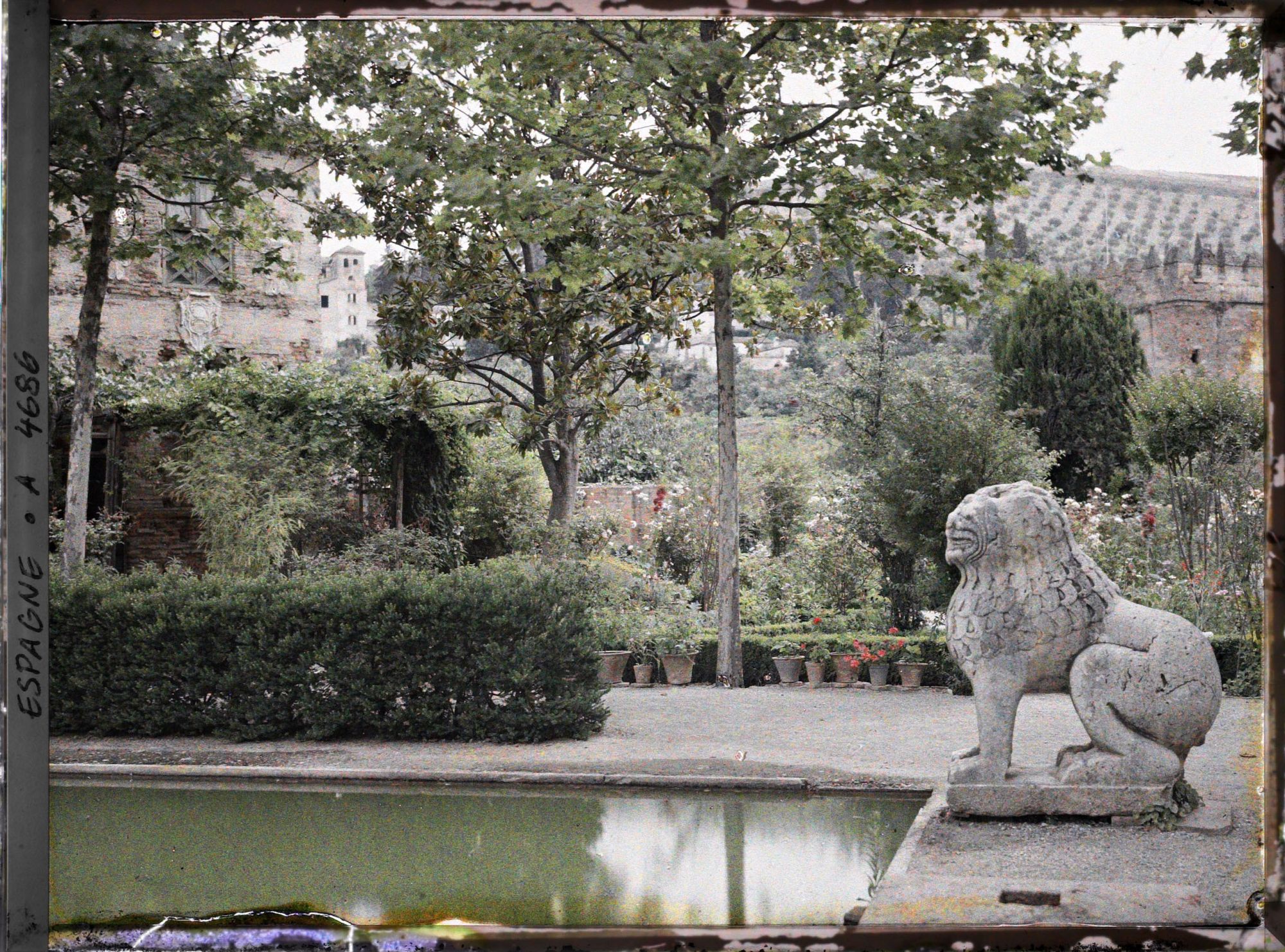 Image représentant Alhambra : lion devant un bassin dans les jardins du Partal