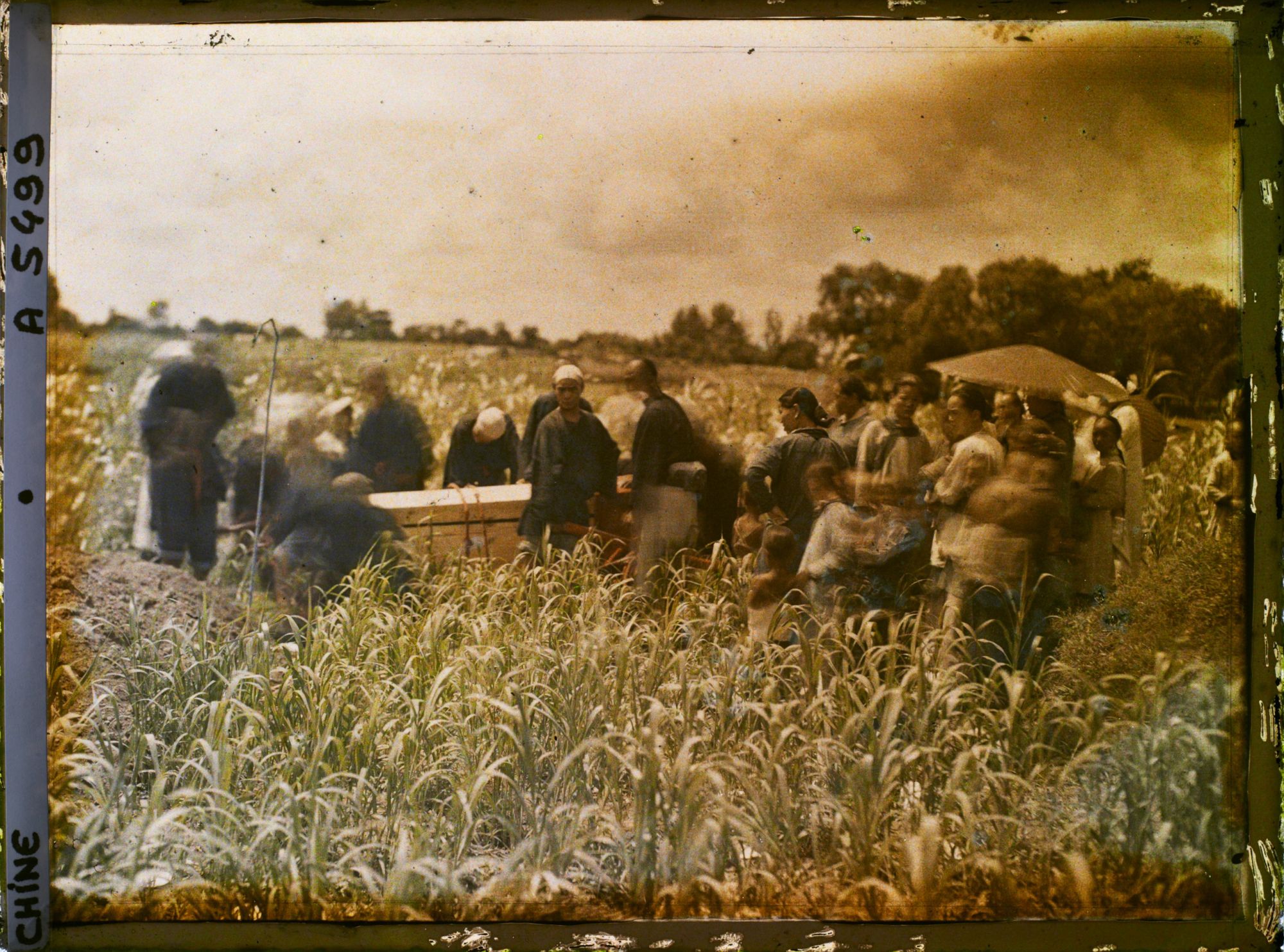 Image représentant Inhumation dans un champ de céréales