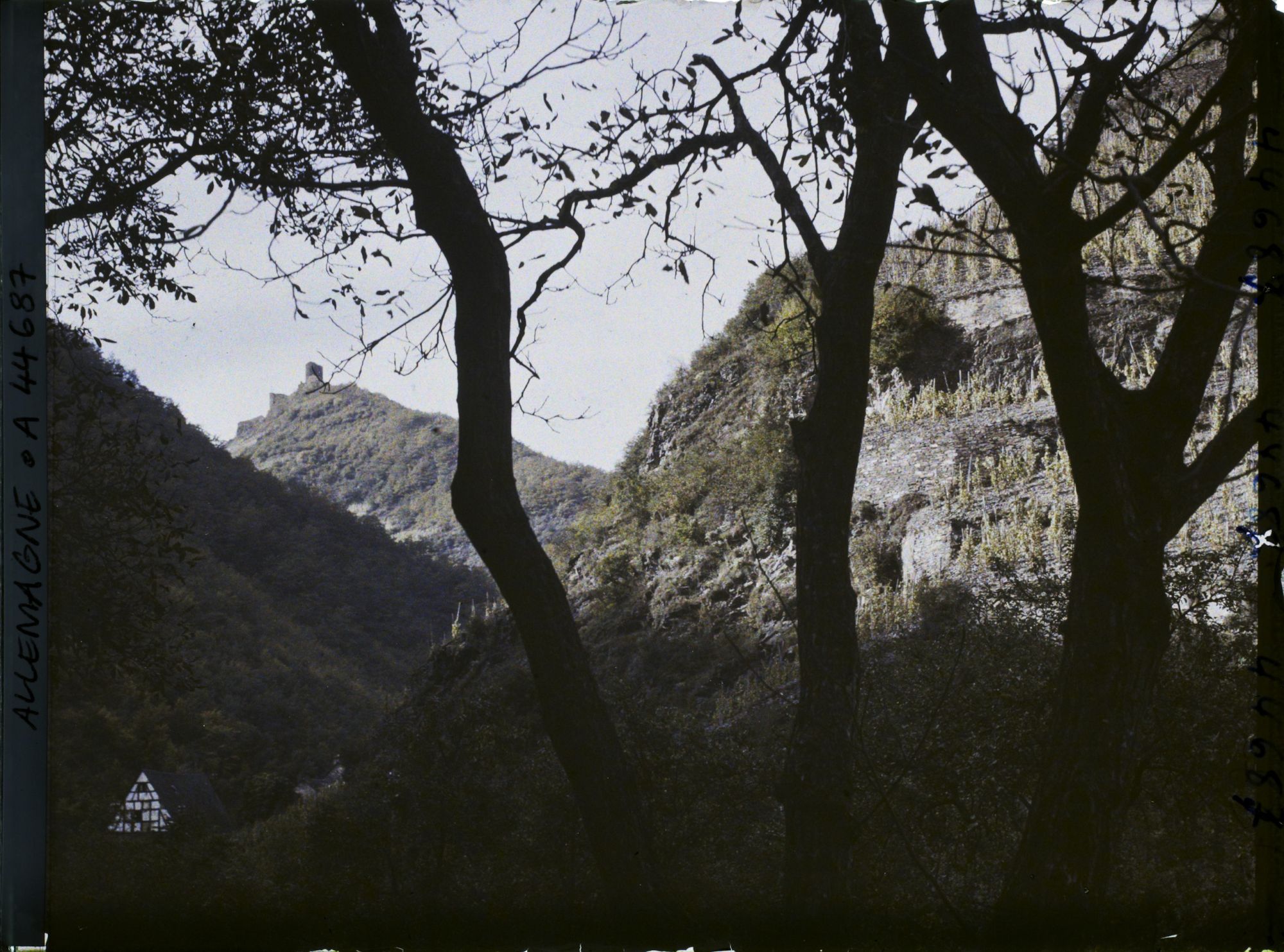 Image représentant Allemagne, Cochem (Moselle), Vallée de l'Eder le soir et Chau de Winnebourg, 1ère résidence des Metternich