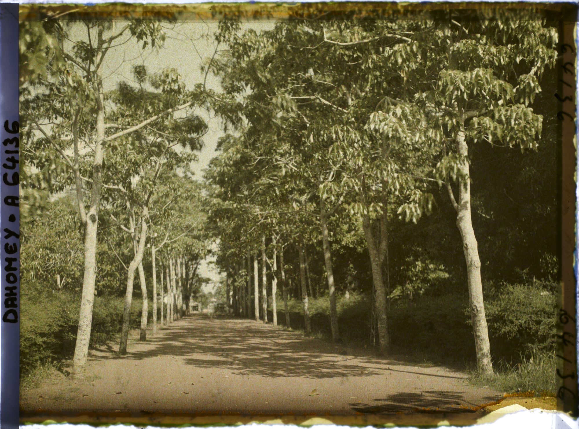 Image représentant Avenue de l'hôpital