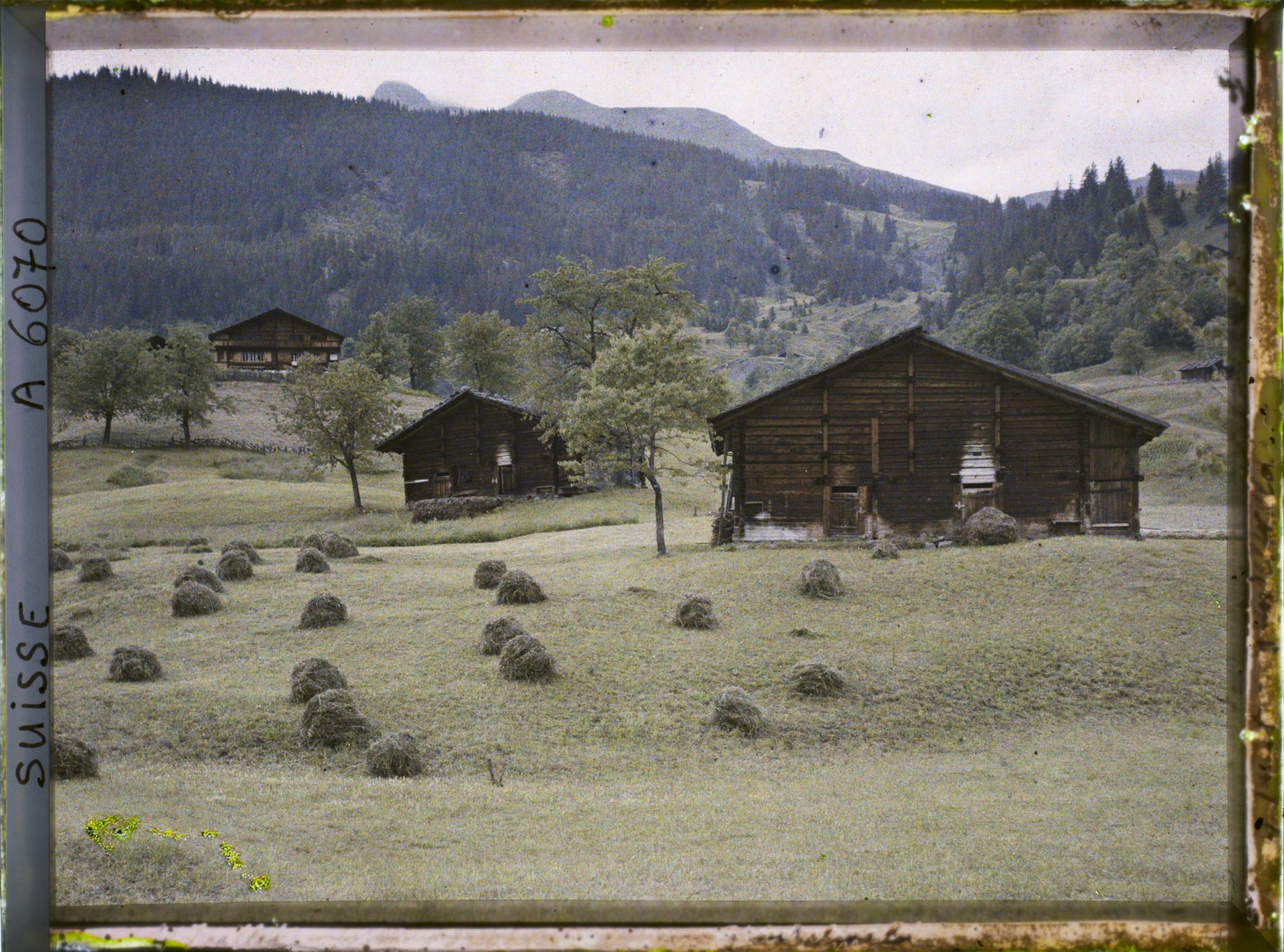 Image représentant Chalets et meules de foin à Grindelwald