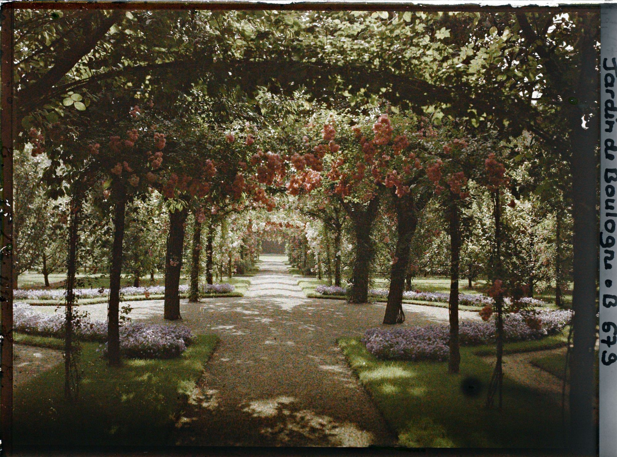 Image représentant Axe central du verger-roseraie photographié non loin de la dépendance, en direction du jardin anglais