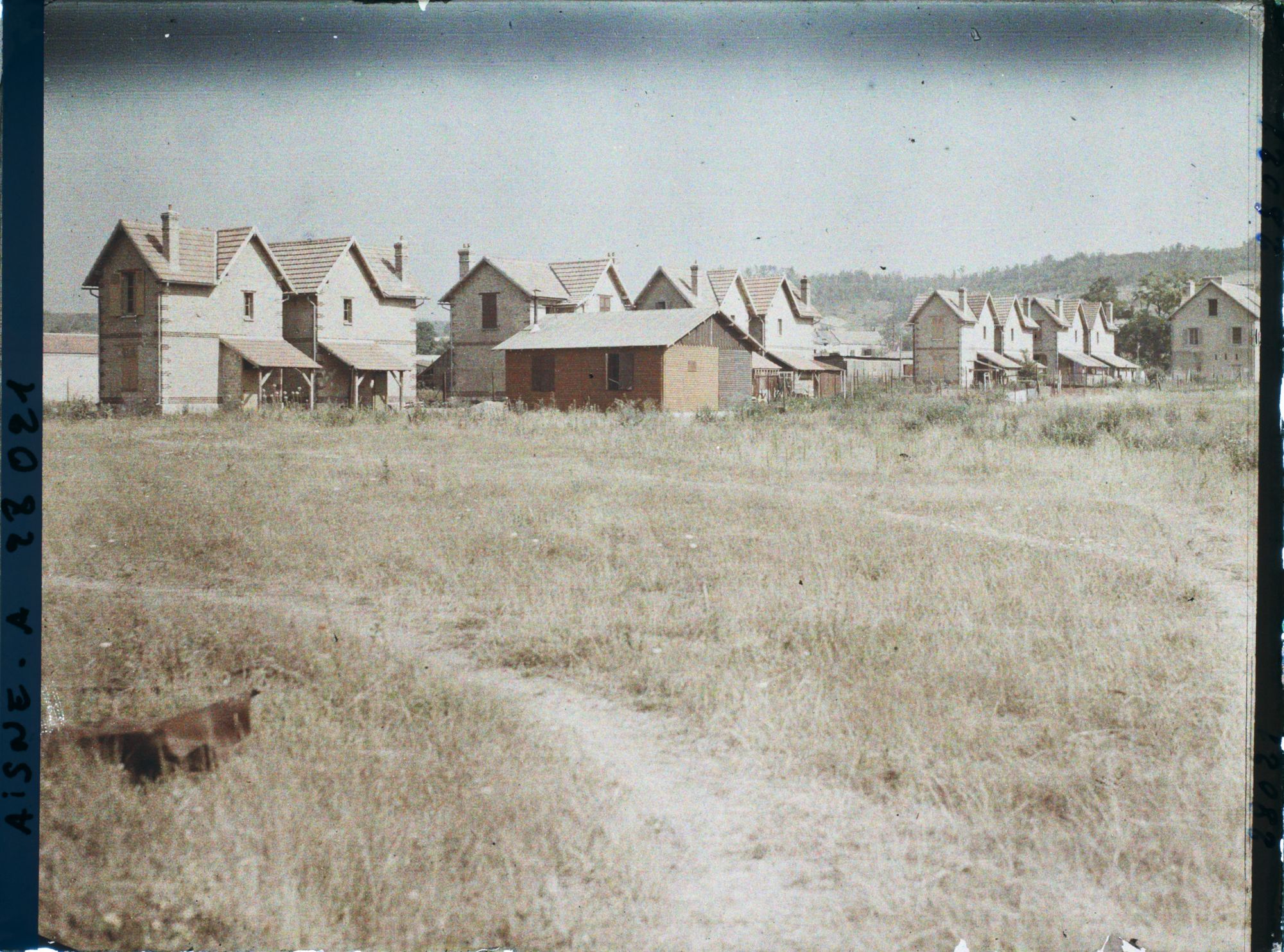 Image représentant France, Vailly, Nouvelles maisons