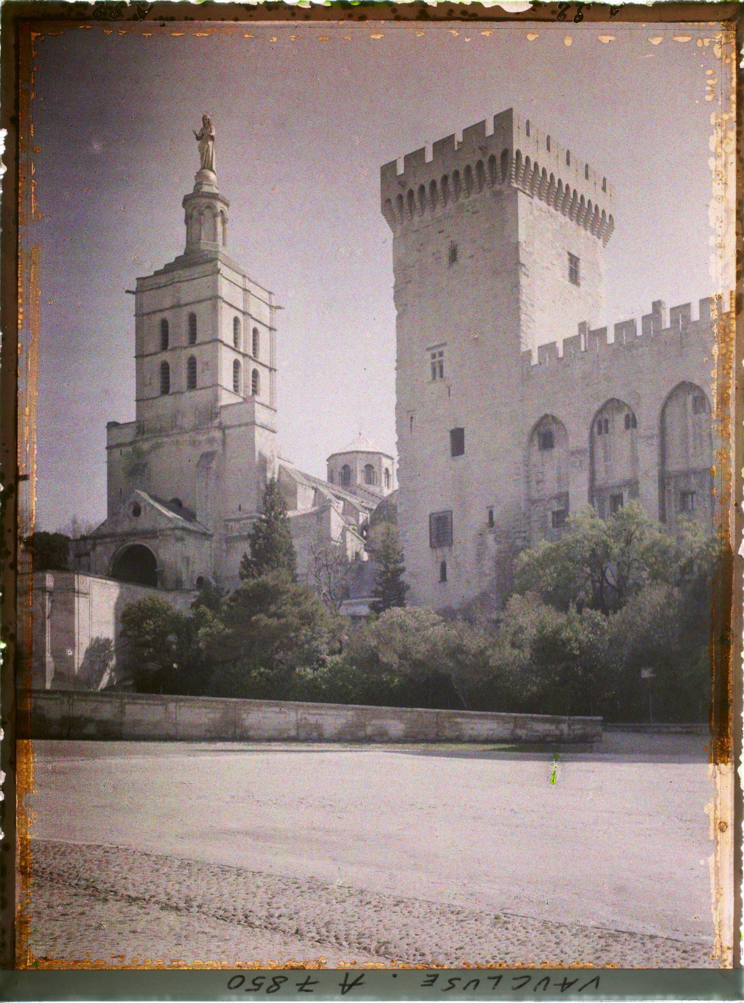 Image représentant La cathédrale Notre-Dame des Doms et le Palais des Papes