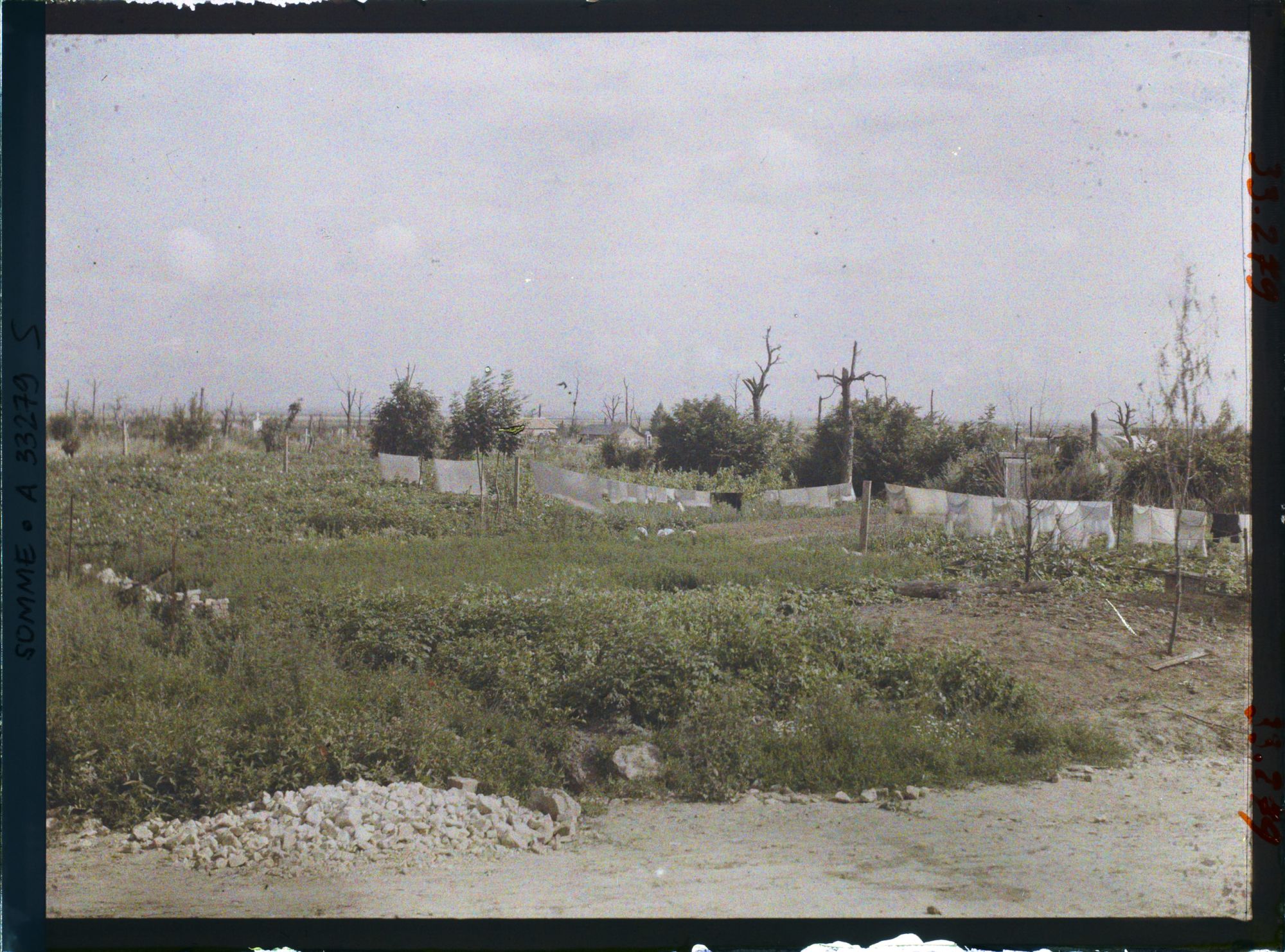 Image représentant France, Abords de la route de Chaulnes