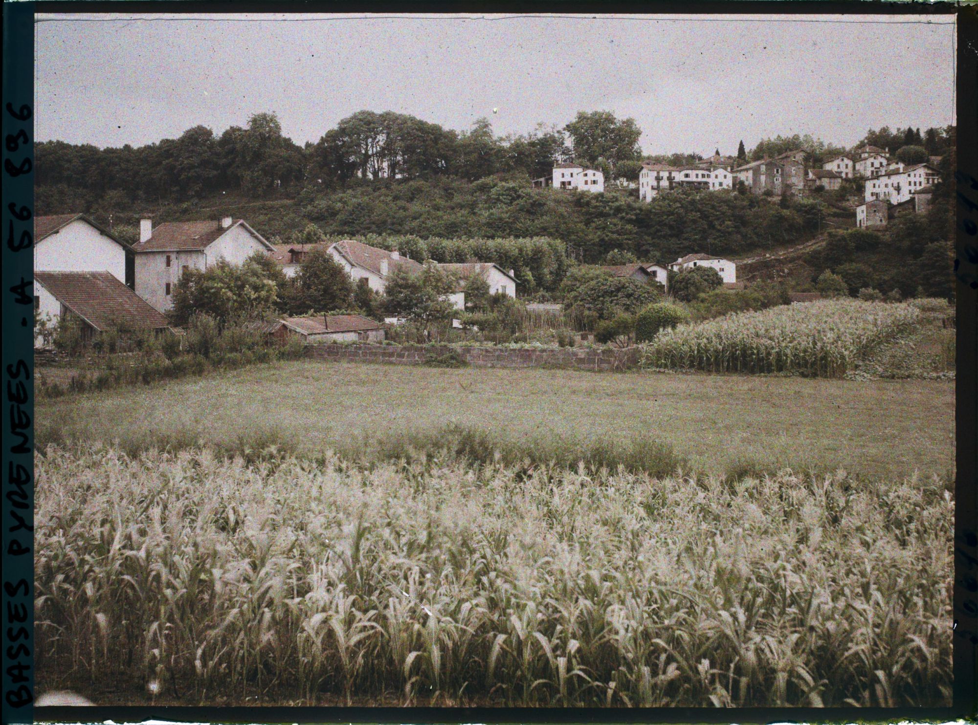 Image représentant France, Bas Cambo, Vue prise du Bas Cambo vers le Haut Cambo