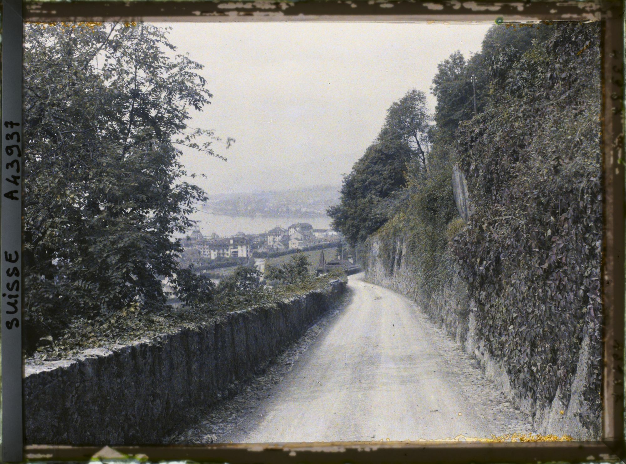 Image représentant La route de Glion