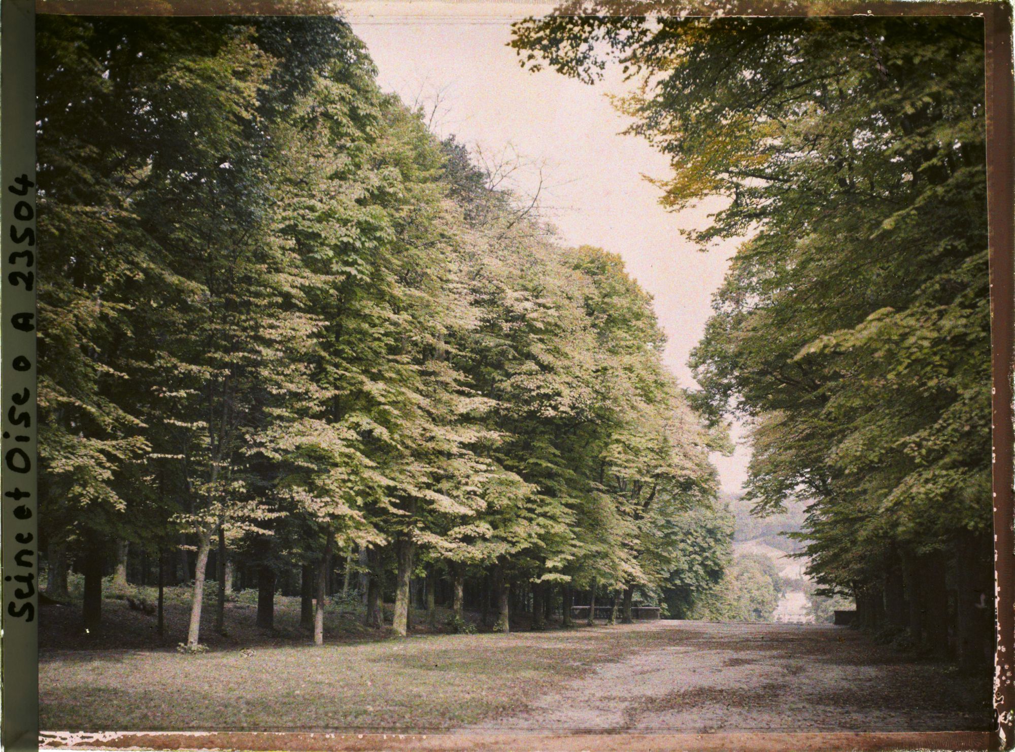 Image représentant L'allée du Fer à Cheval dans le parc