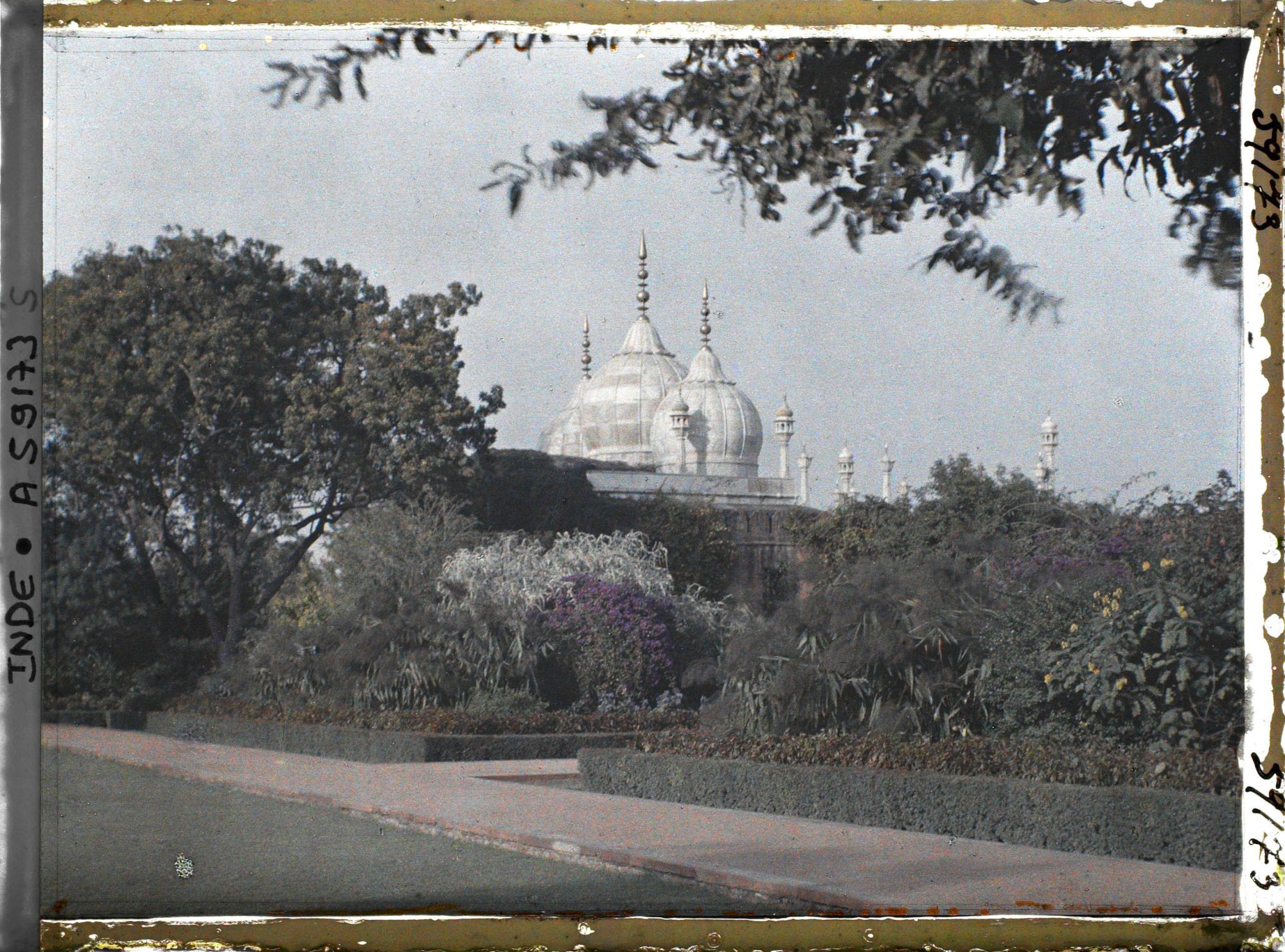 Image représentant Jardin près de la mosquée de la Perle (Moti Masjid) dans le fort Rouge (Lal Qila)