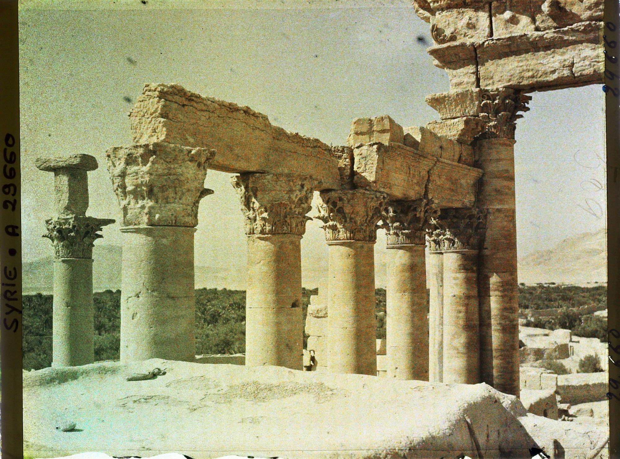 Image représentant Vestiges de colonnes du Temple de Bêl
