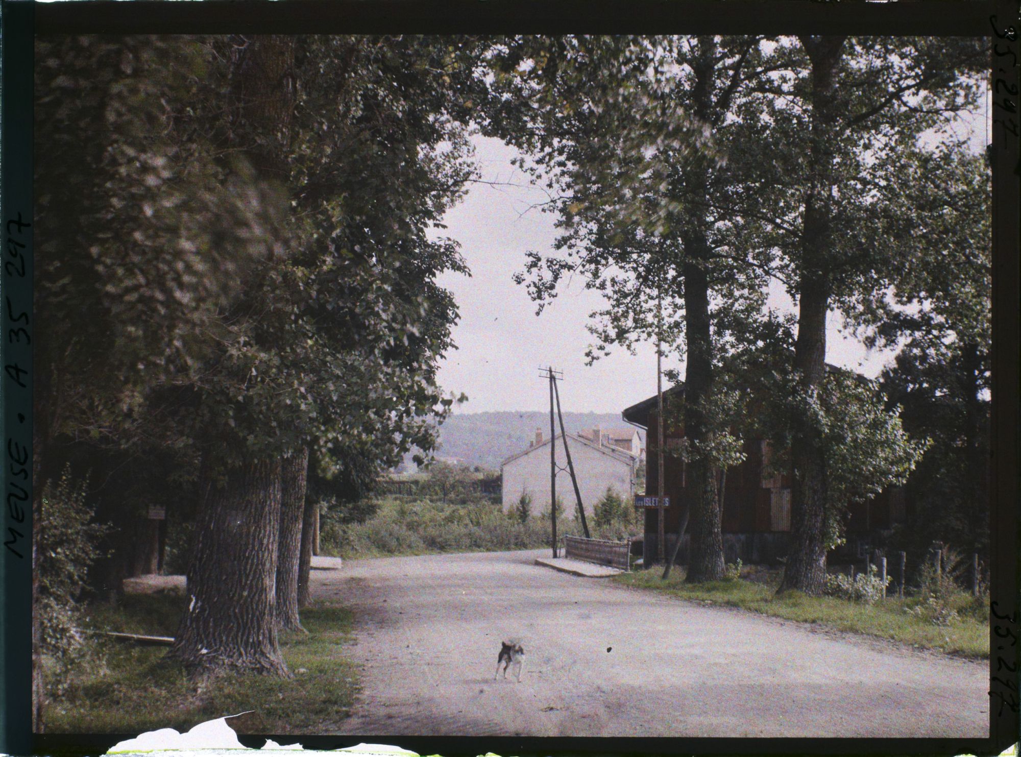 Image représentant France, Les Islettes, Entrée des Islettes par la route de Châlons