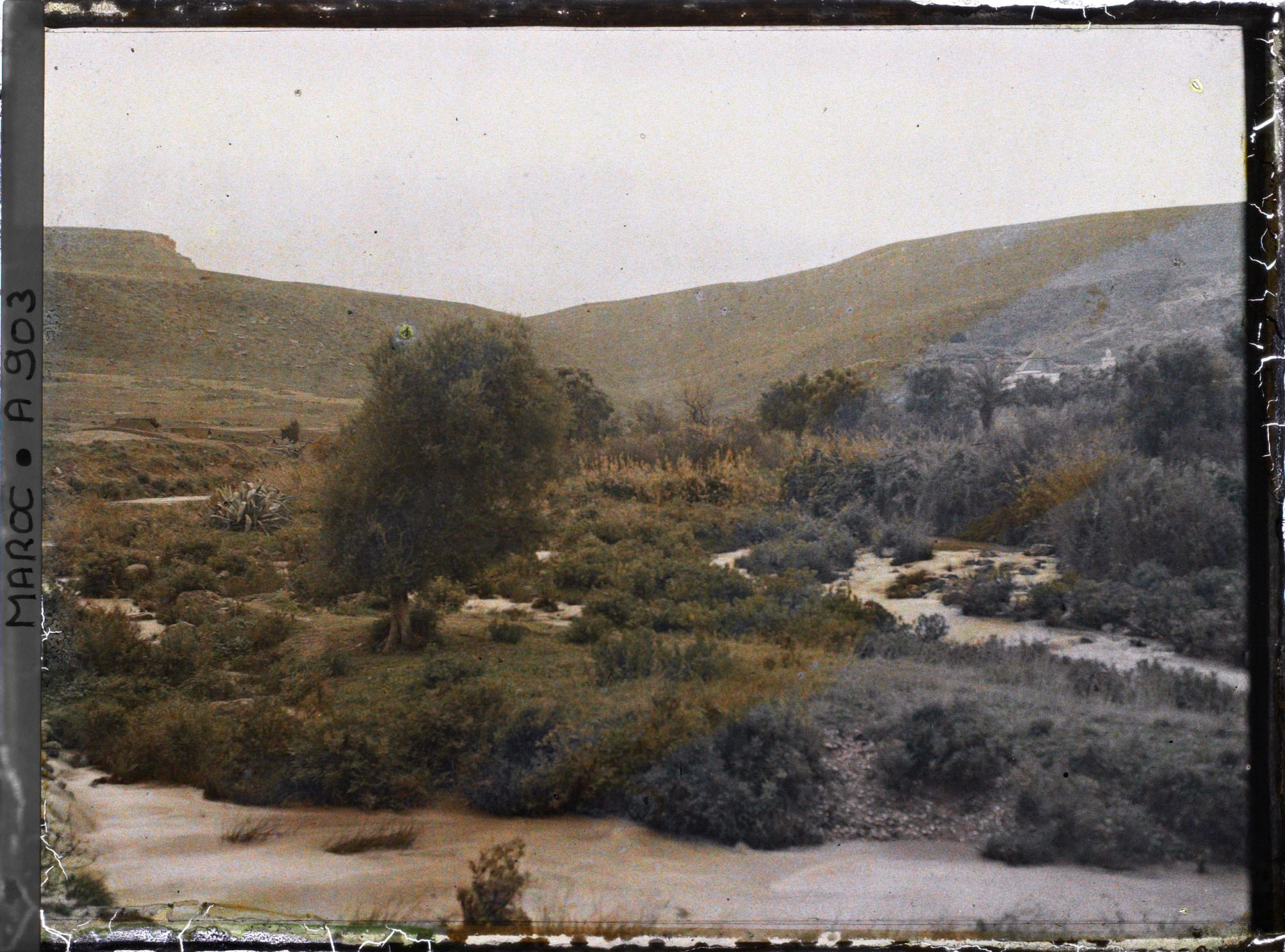 Image représentant L'oued Belit (?) et un mausolée de marabout (?)