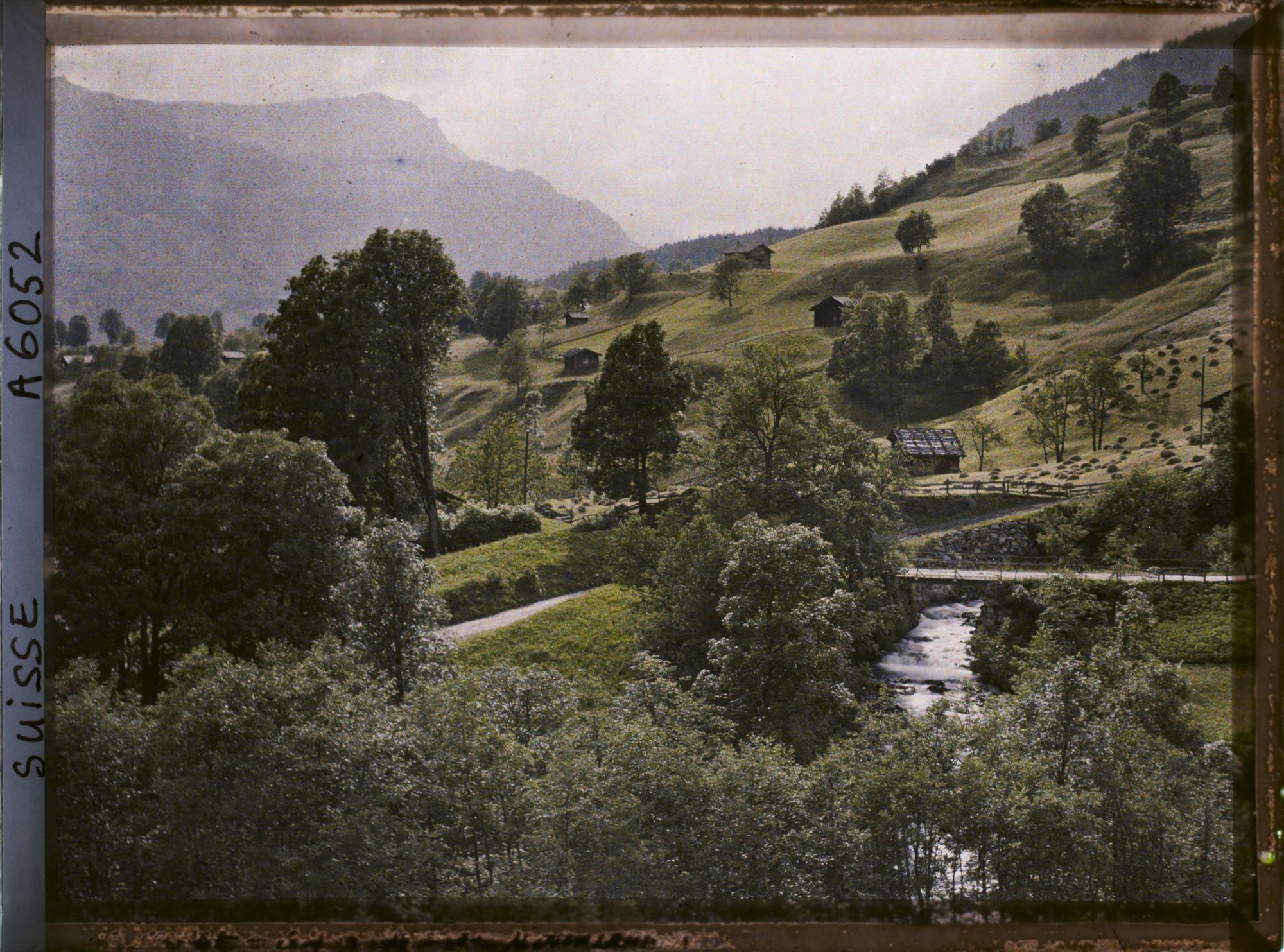 Image représentant La route de Rosenlaui depuis la vallée