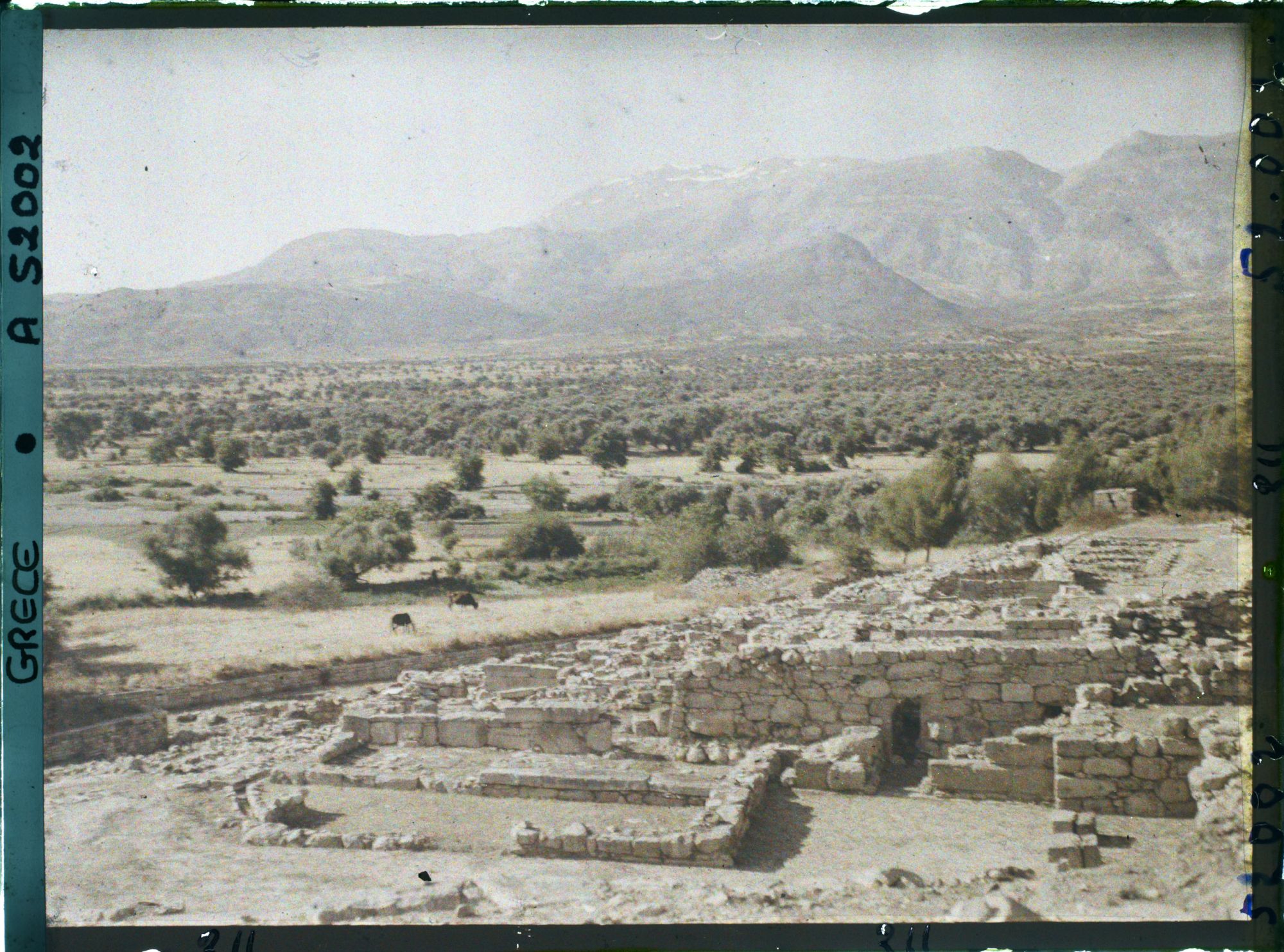 Image représentant Ruines de la villa. Au fond, le mont Ida