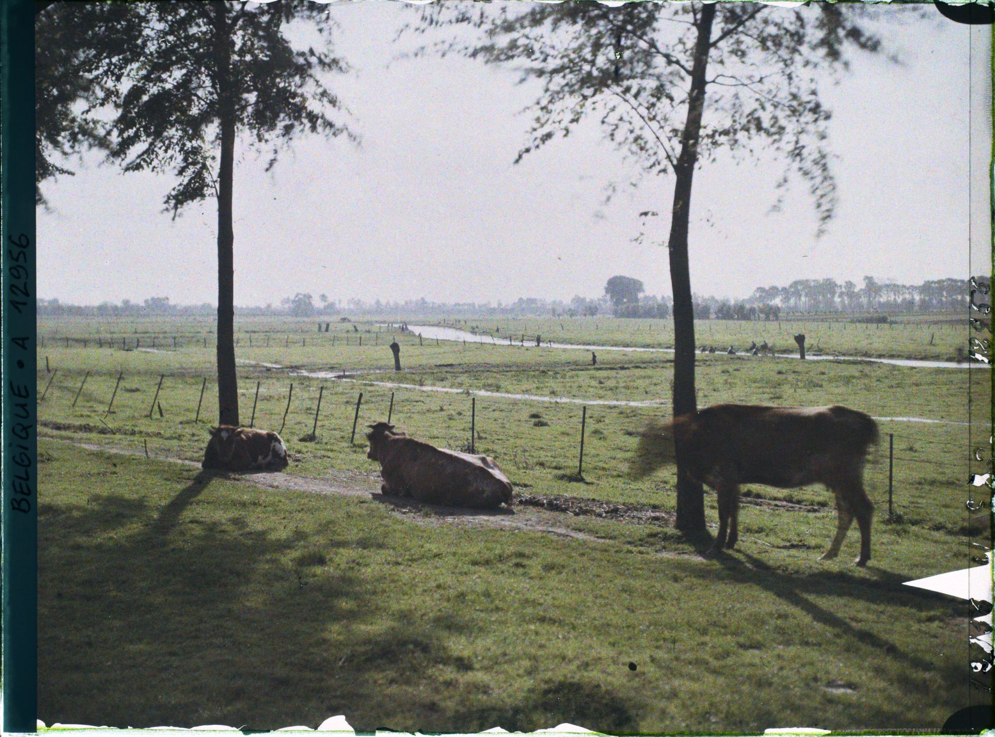 Image représentant Belgique, près Roussbrugge, Plaine de l''Yser en aval de Rousbrugge