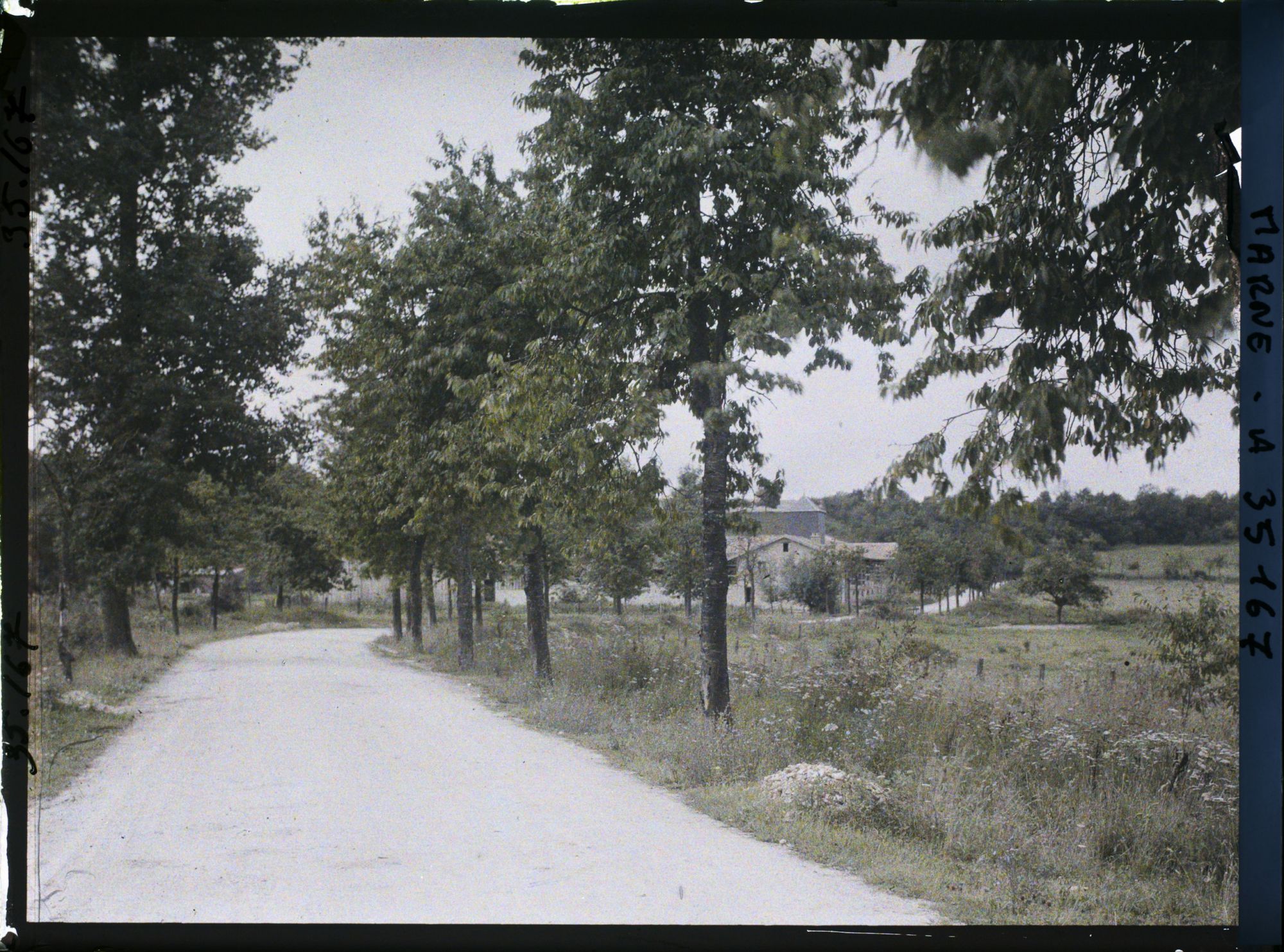 Image représentant France, Vienne la Ville, Route de la Harazée à Binarville au point dit :  "  La Renarde "