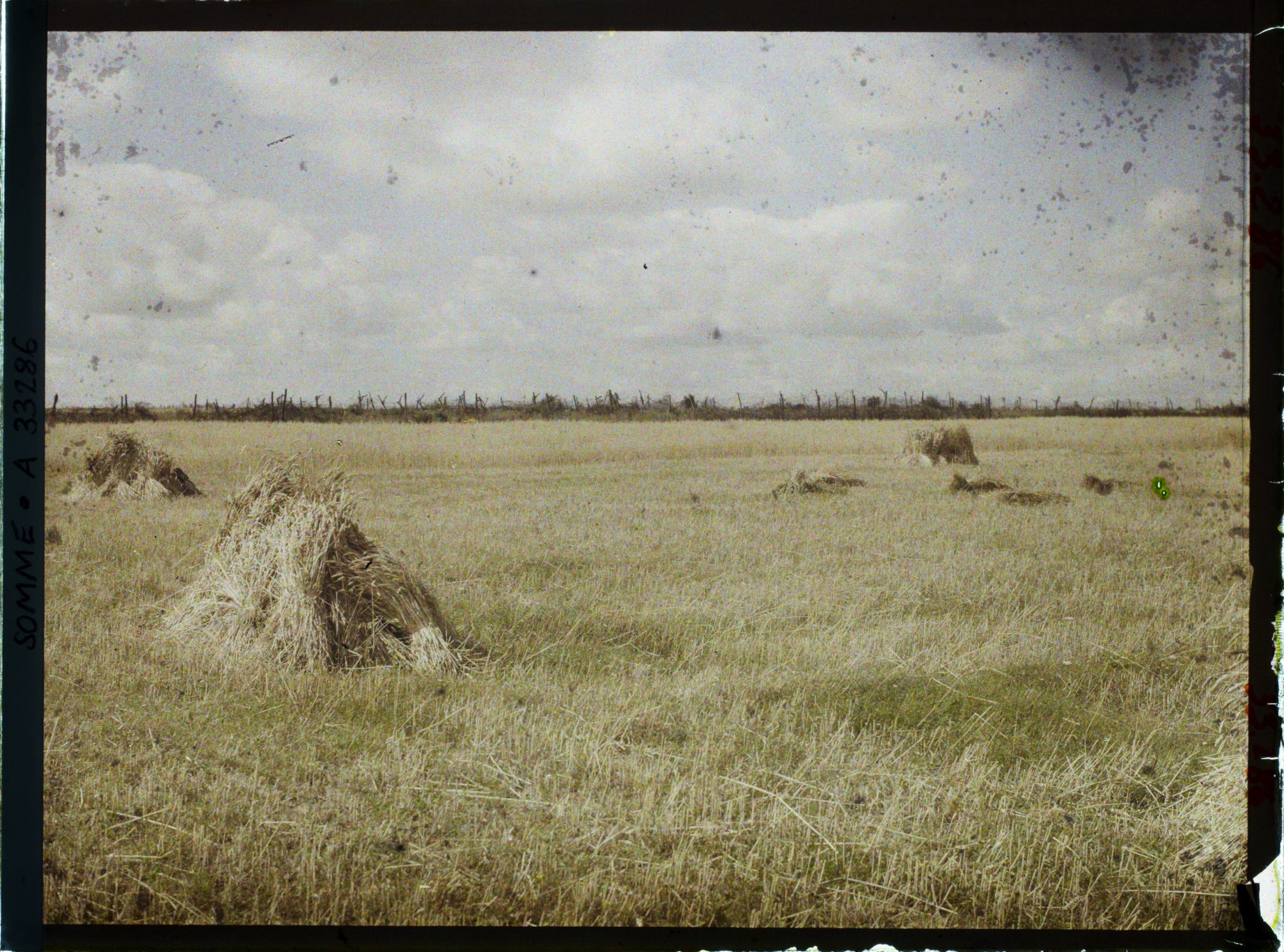 Image représentant France, Vermandovillers, Moisson s/ ancien Champ de bataille (secteur de Chaulnes)