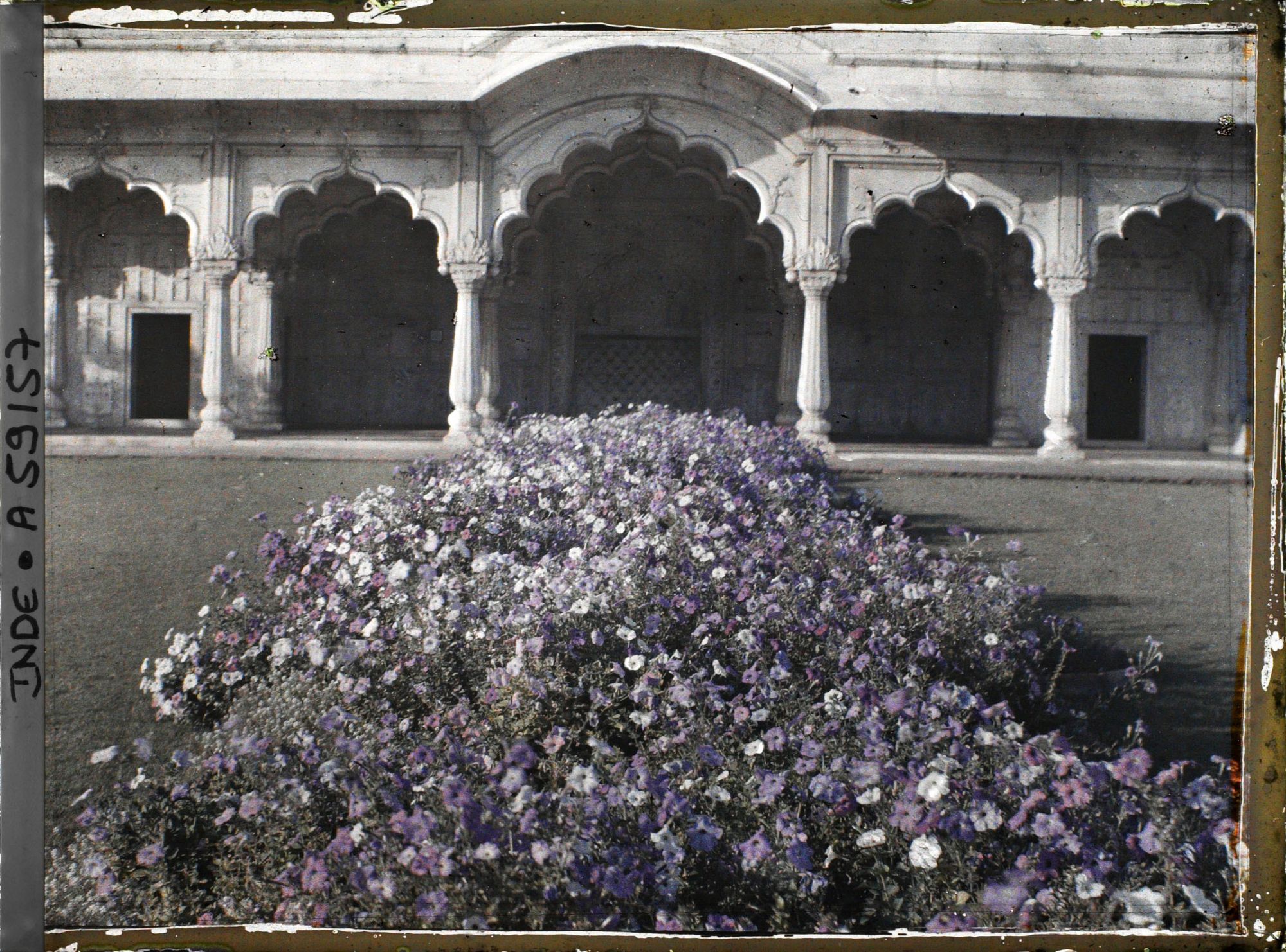 Image représentant Pavillon de marbre près de la tour de l'Empereur (Shah Burj) dans le fort Rouge (Lal Qila)