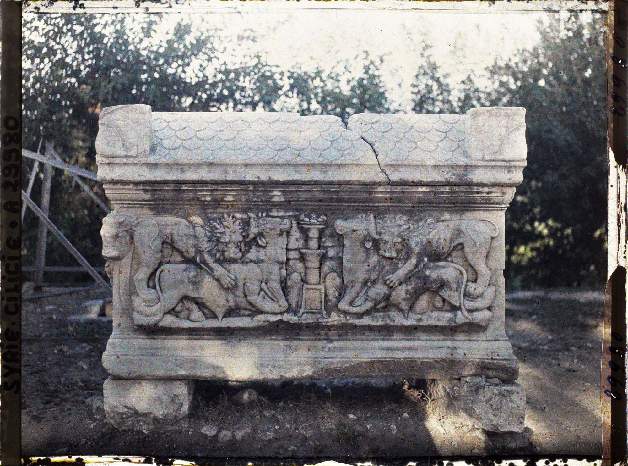 Image représentant Sarcophage romain trouvé dans les environs d'Antioche, représentant des lions dévorant des taureaux, et exposé dans la cour d'un musée ou d'un bâtiment officiel
