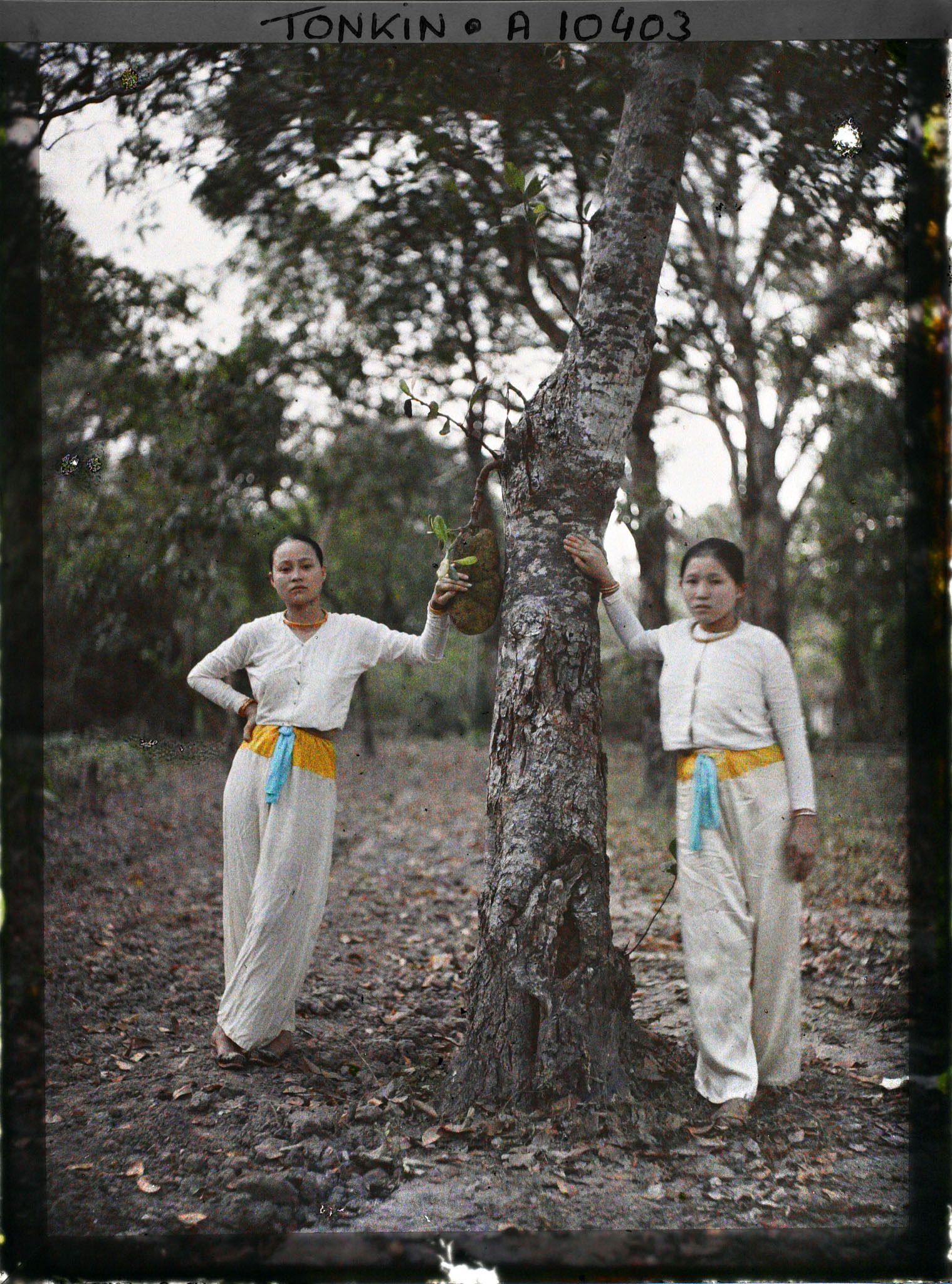 Image représentant Deux jeunes femmes saïgonnaises, en vêtements de dessous, appuyées à un arbre