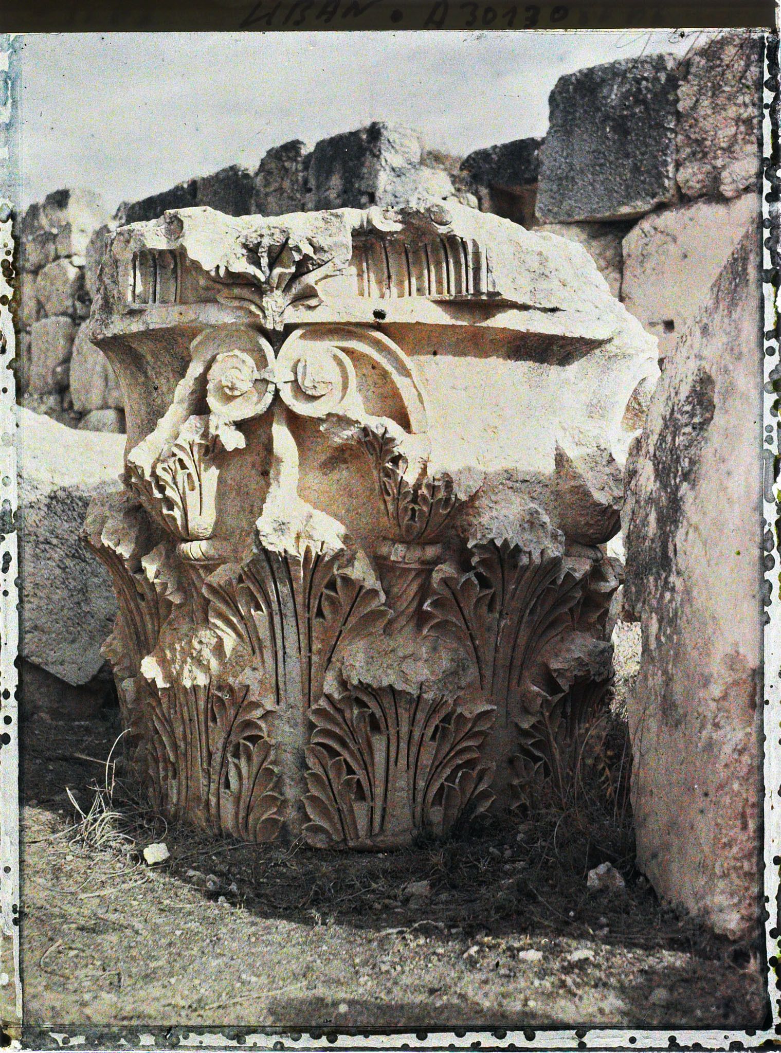 Image représentant Chapiteau corinthien à terre, provenant du péristyle (méridional ?) du sanctuaire du Temple de Jupiter Héliopolitain